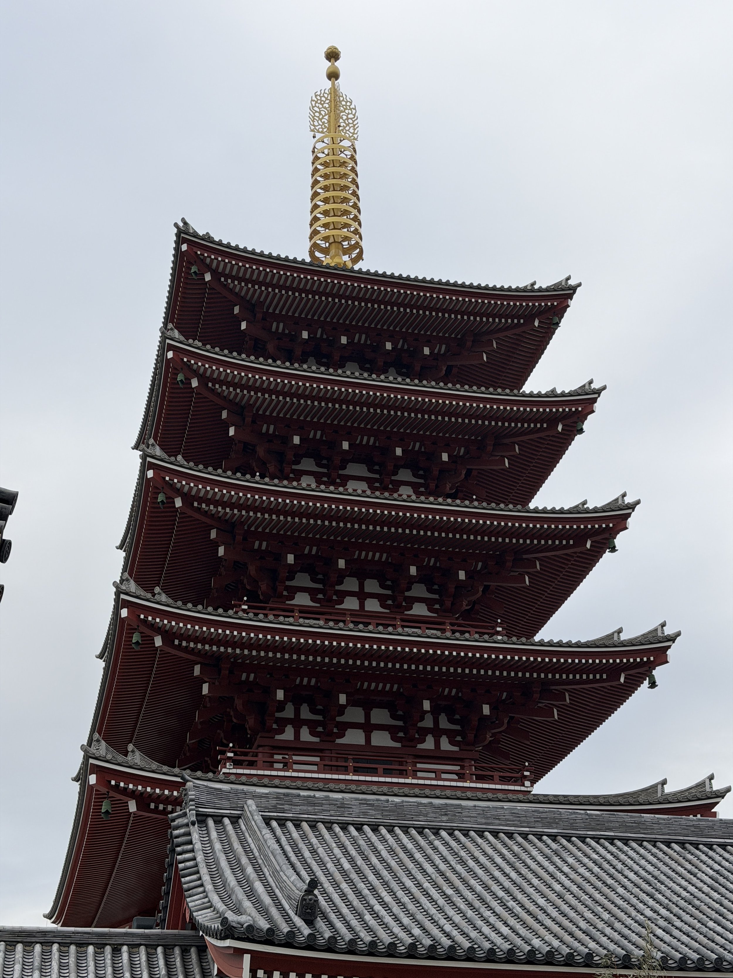 IMG_2116.JPG