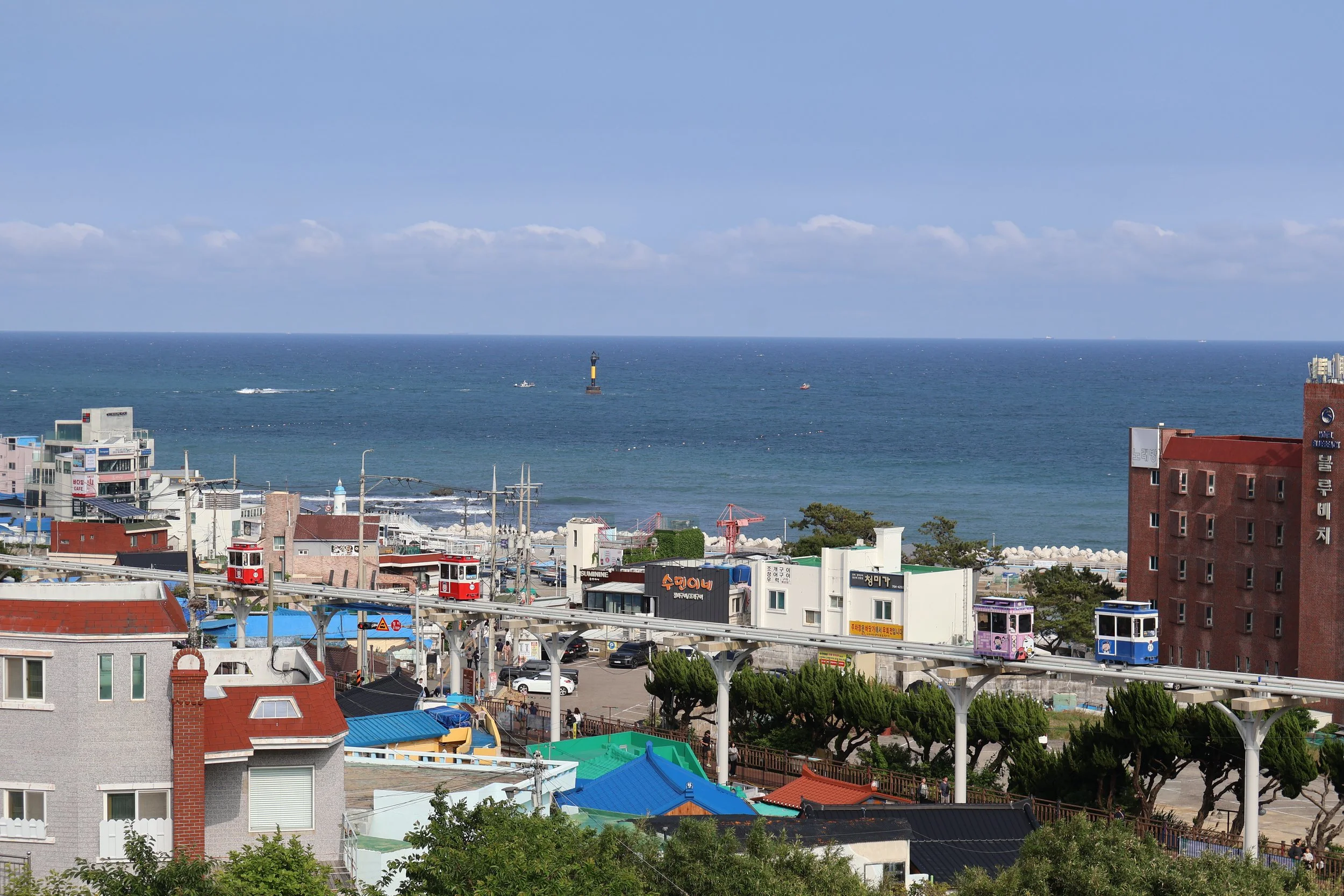 IMG_8390.JPG