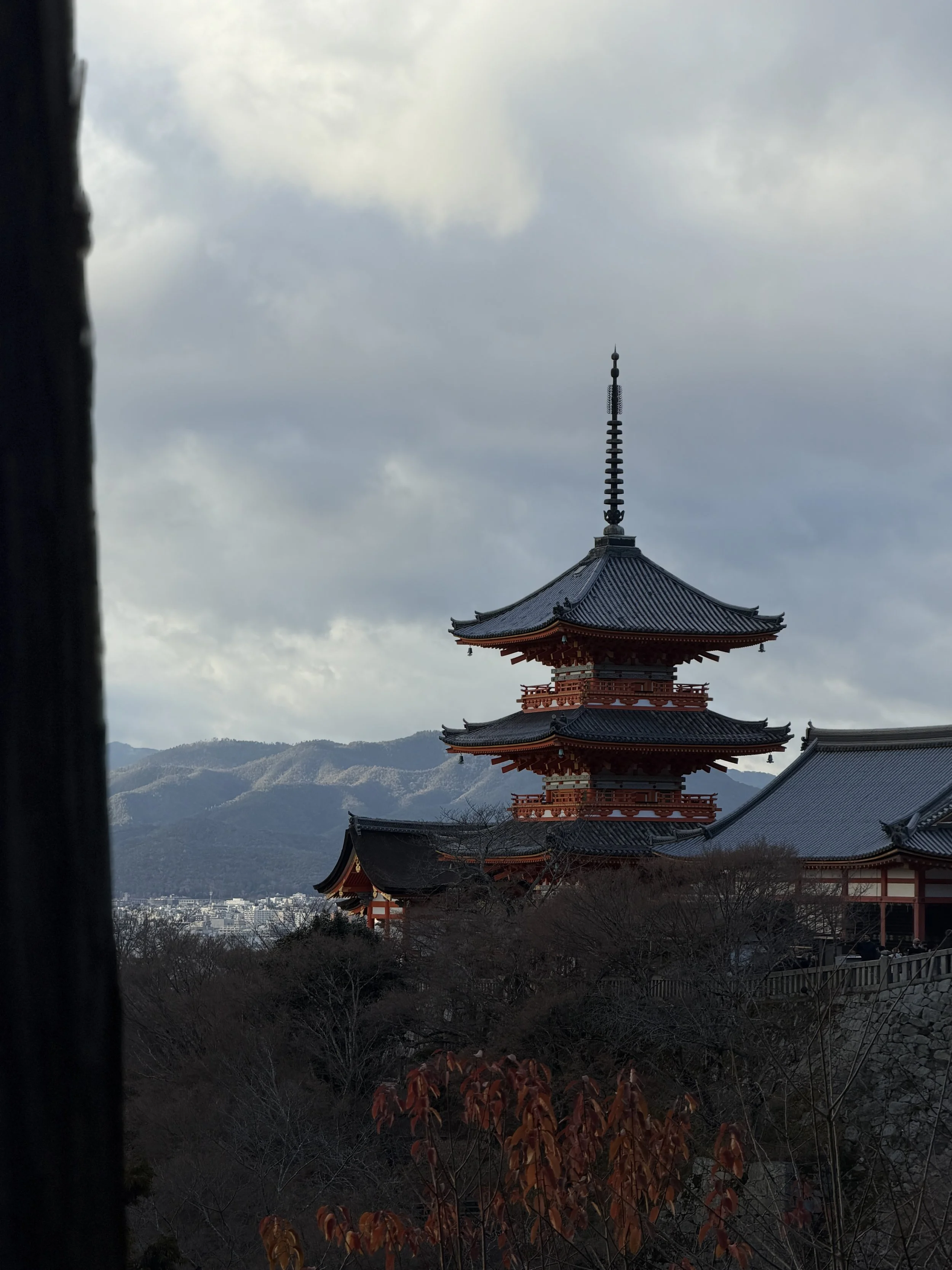 7D08B955-5A53-4355-9273-A1DC1F82E400.JPG