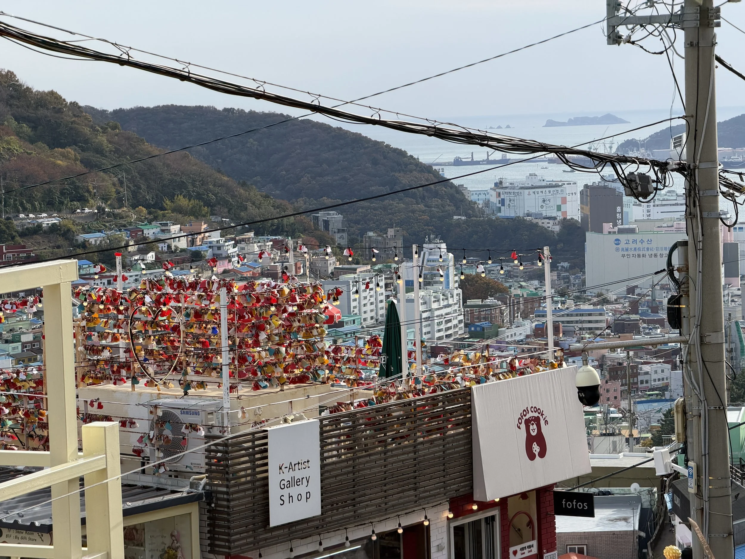 View of a coastal city with hills, boats, and buildings, with wires and holiday decorations in the foreground.