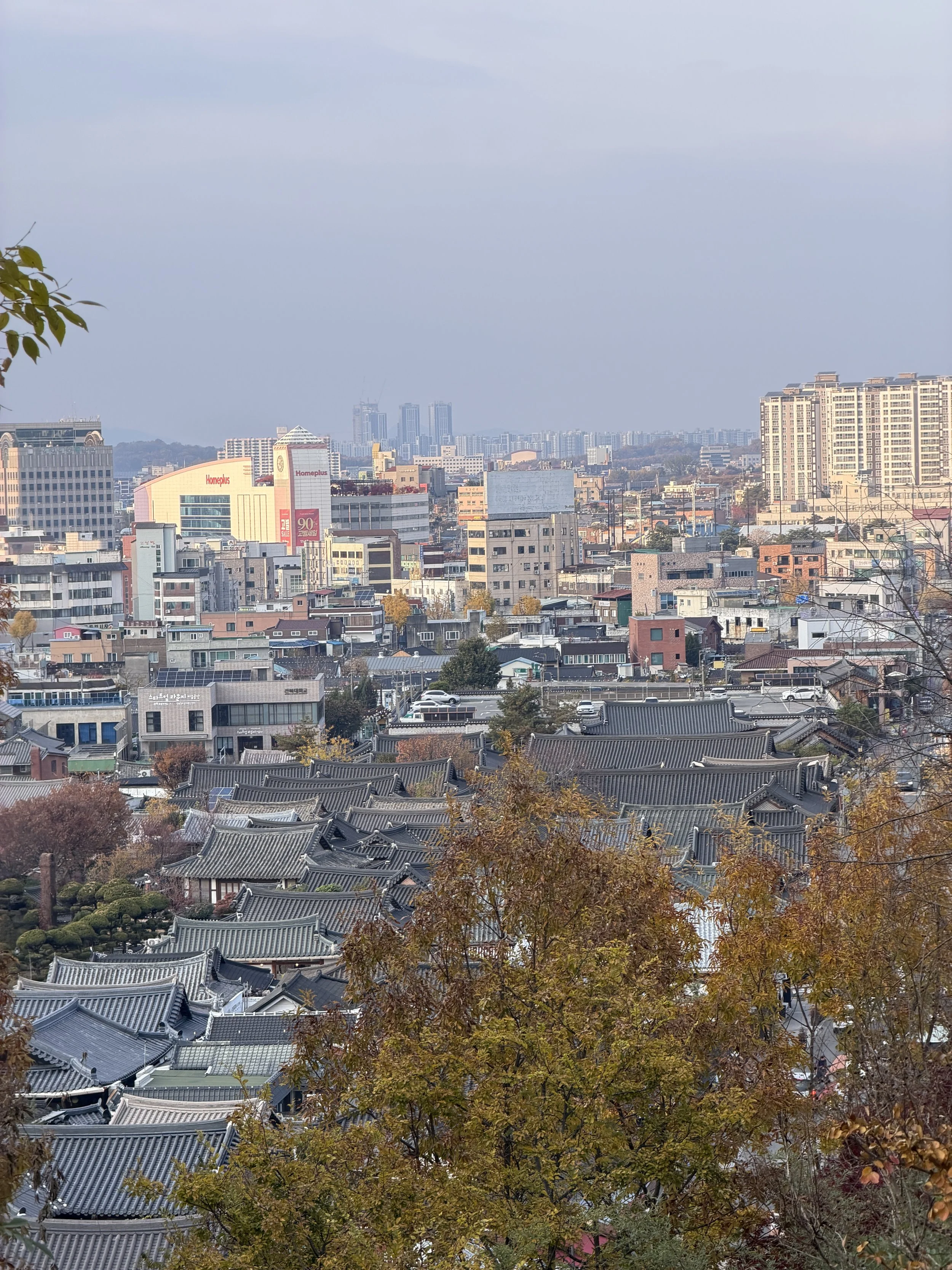 ABB70F82-C154-4A70-9151-911383B287D9.JPG