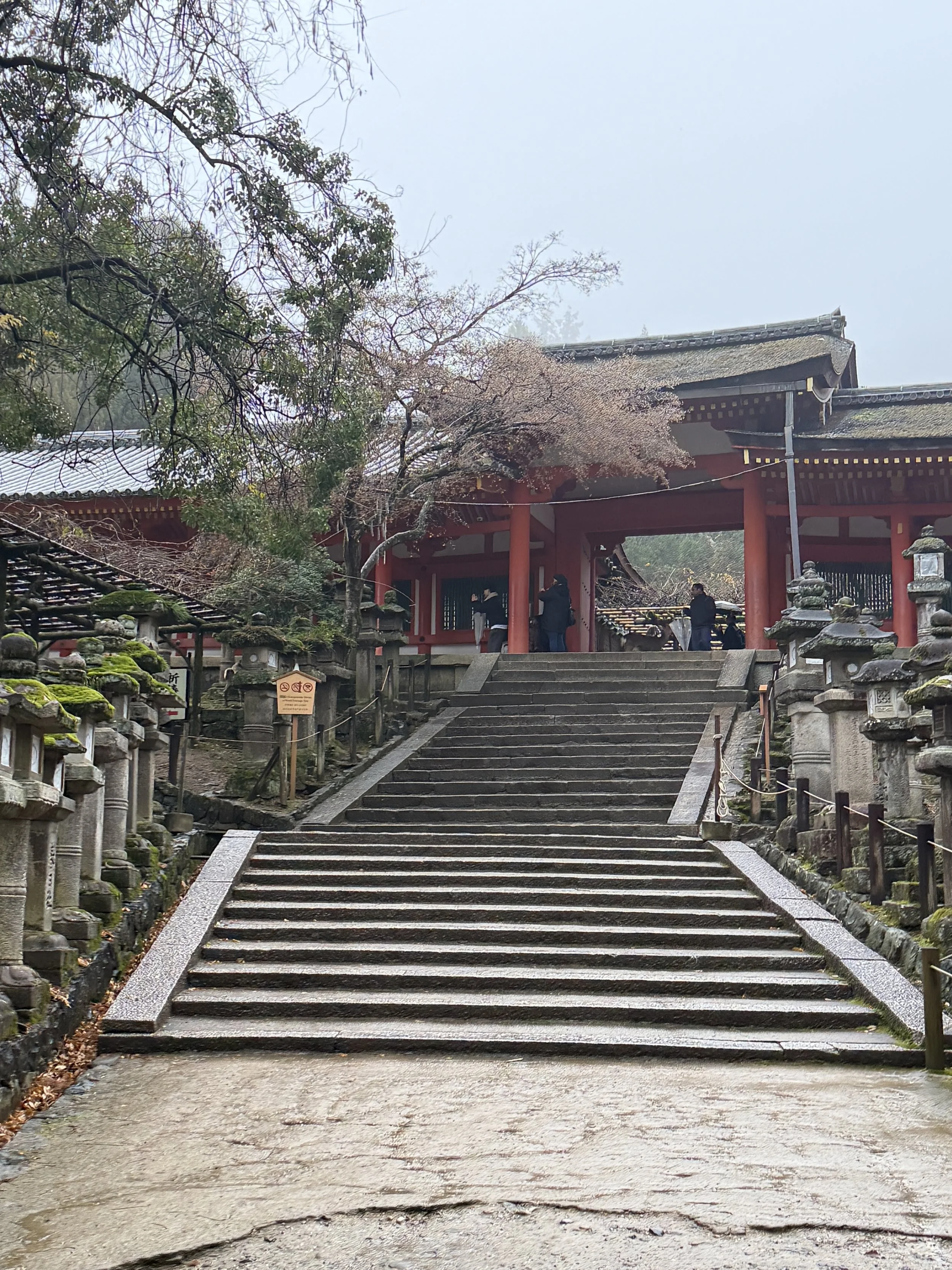 CA2DD51B-294D-40F5-BC2B-86D89AF17528.JPG