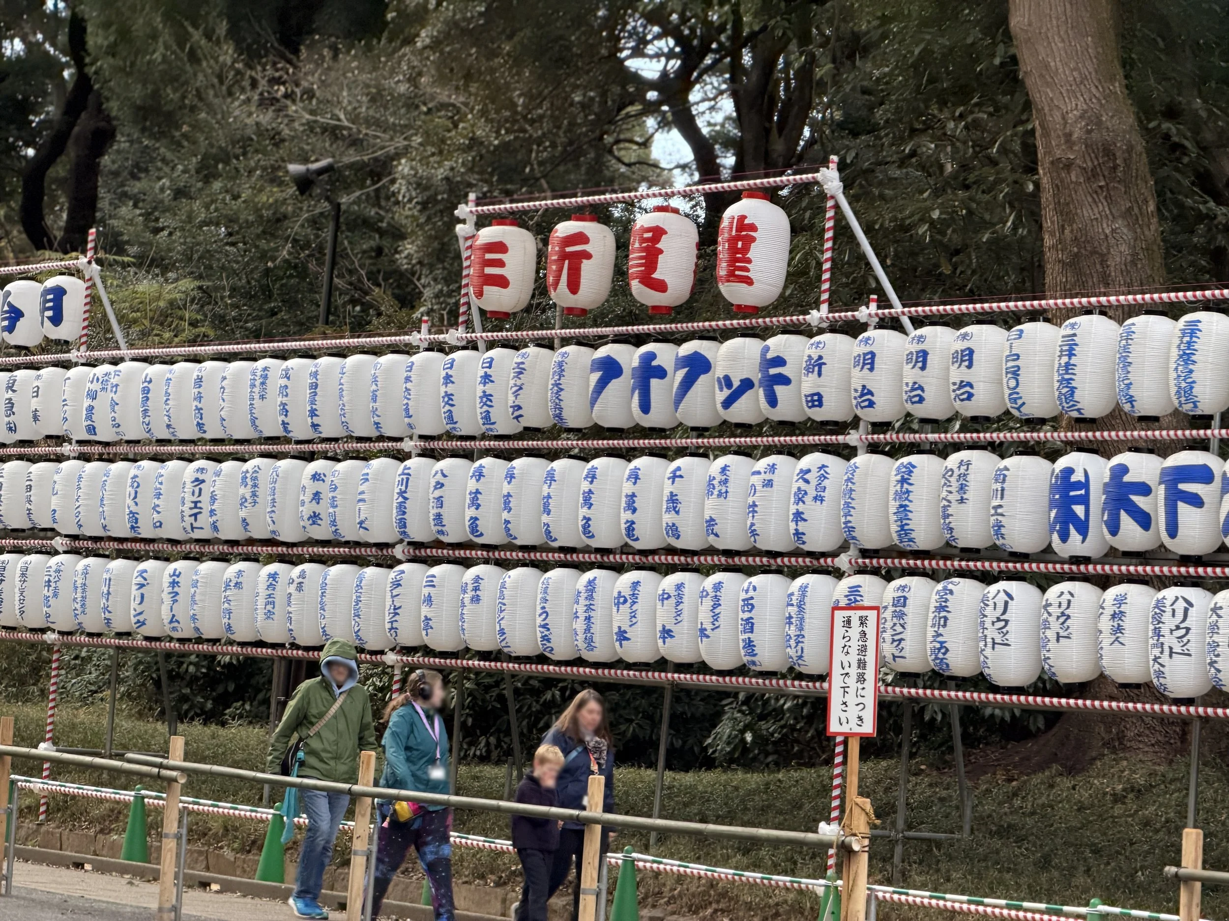 E0041227-406D-47CE-AF7C-B872D3ABA1B7a.jpg