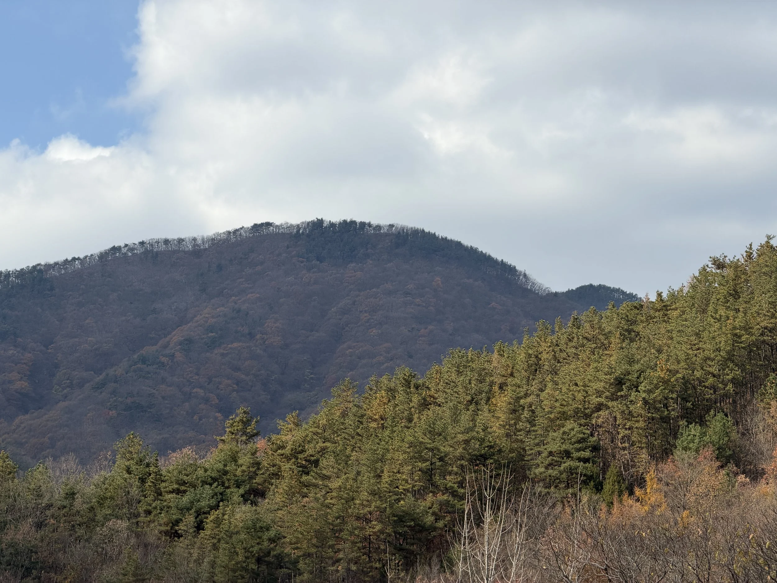 IMG_4676.JPG