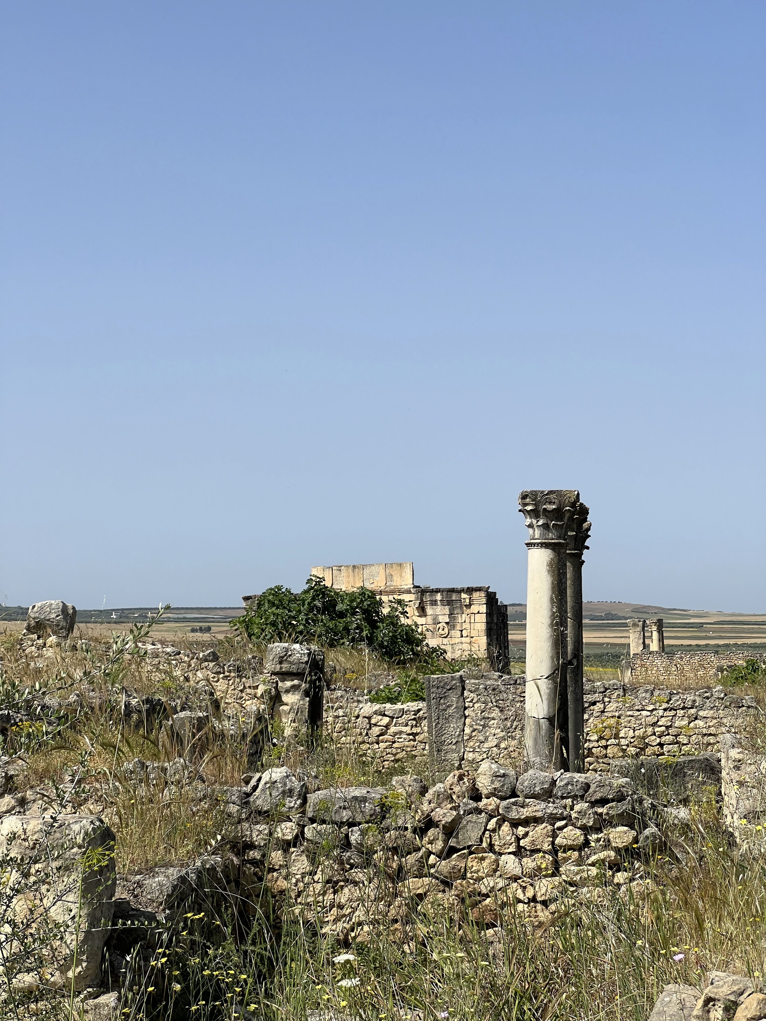 IMG_8486.JPG