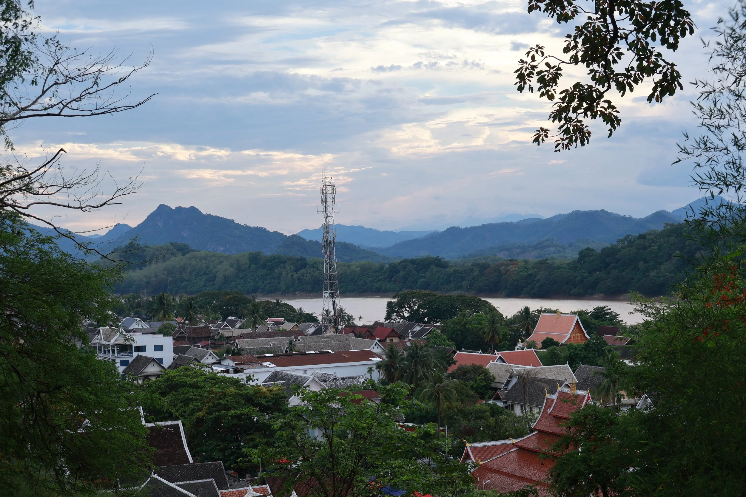 IMG_7875.JPG