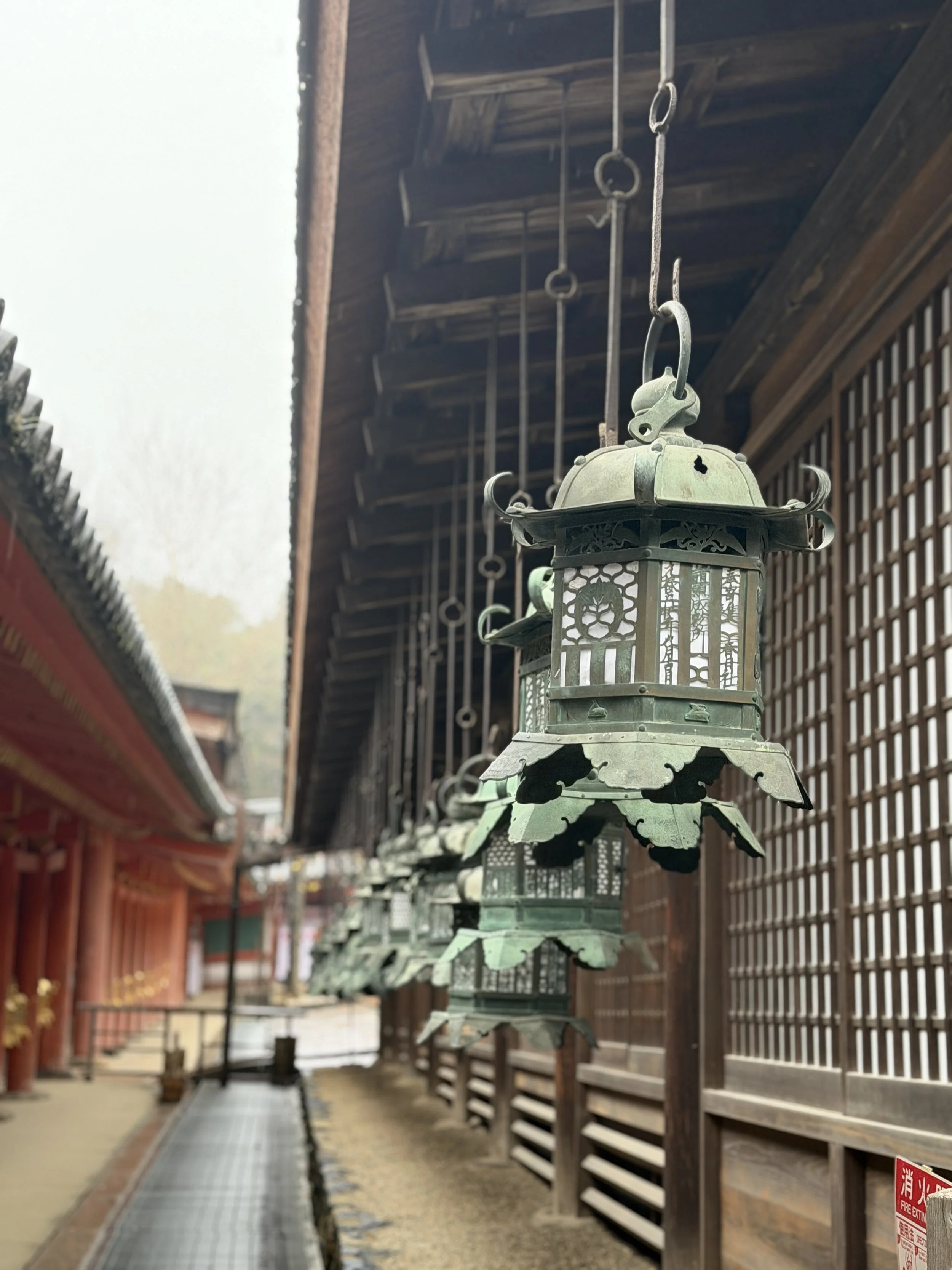 D21EC895-B35A-48A1-AA1A-1CA5C670C5EC.JPG