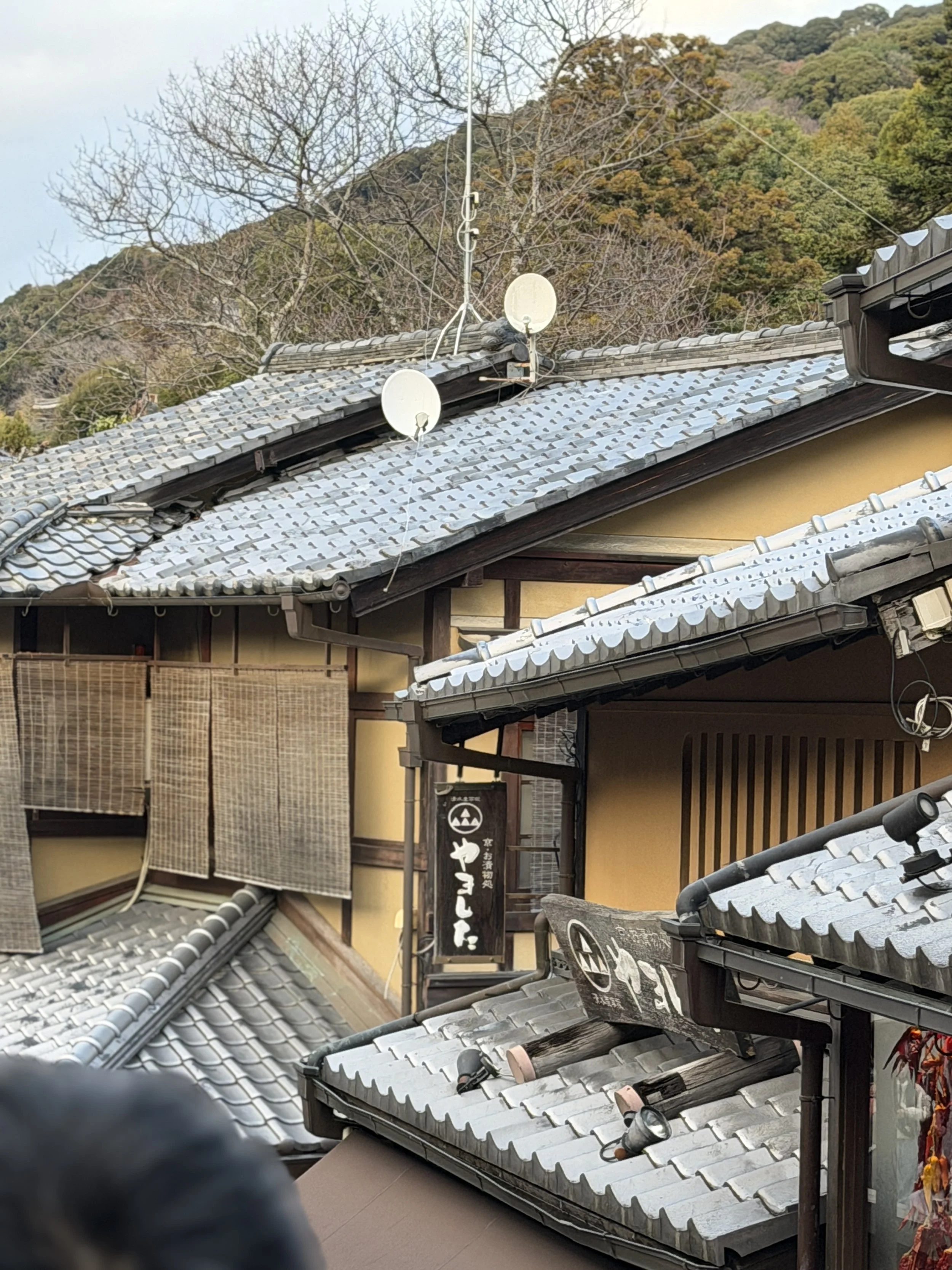 65A37725-944F-4FB3-8A60-8D97D3B07793.JPG
