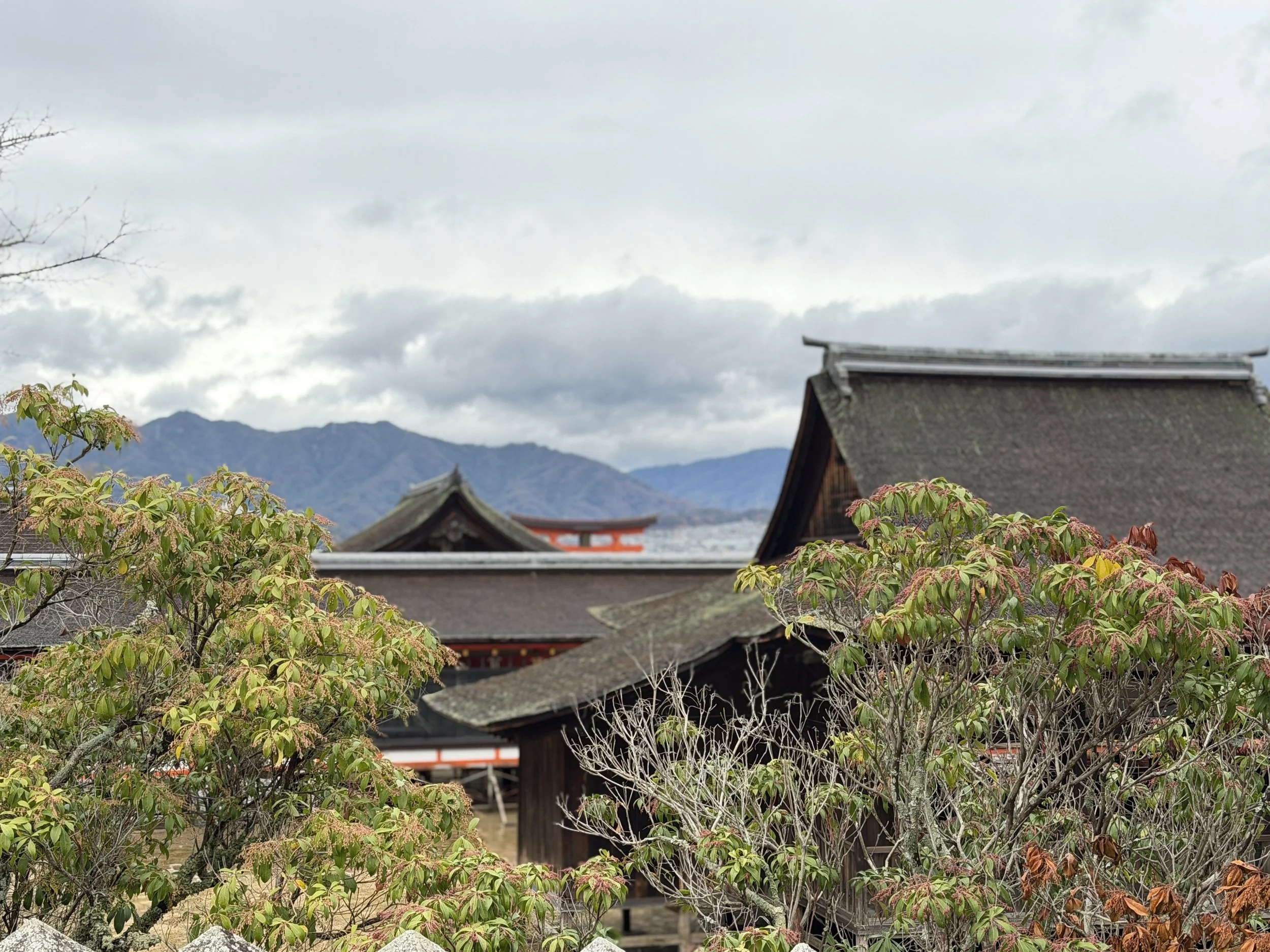 4881048C-8D78-4744-B210-CCA36713417D.JPG