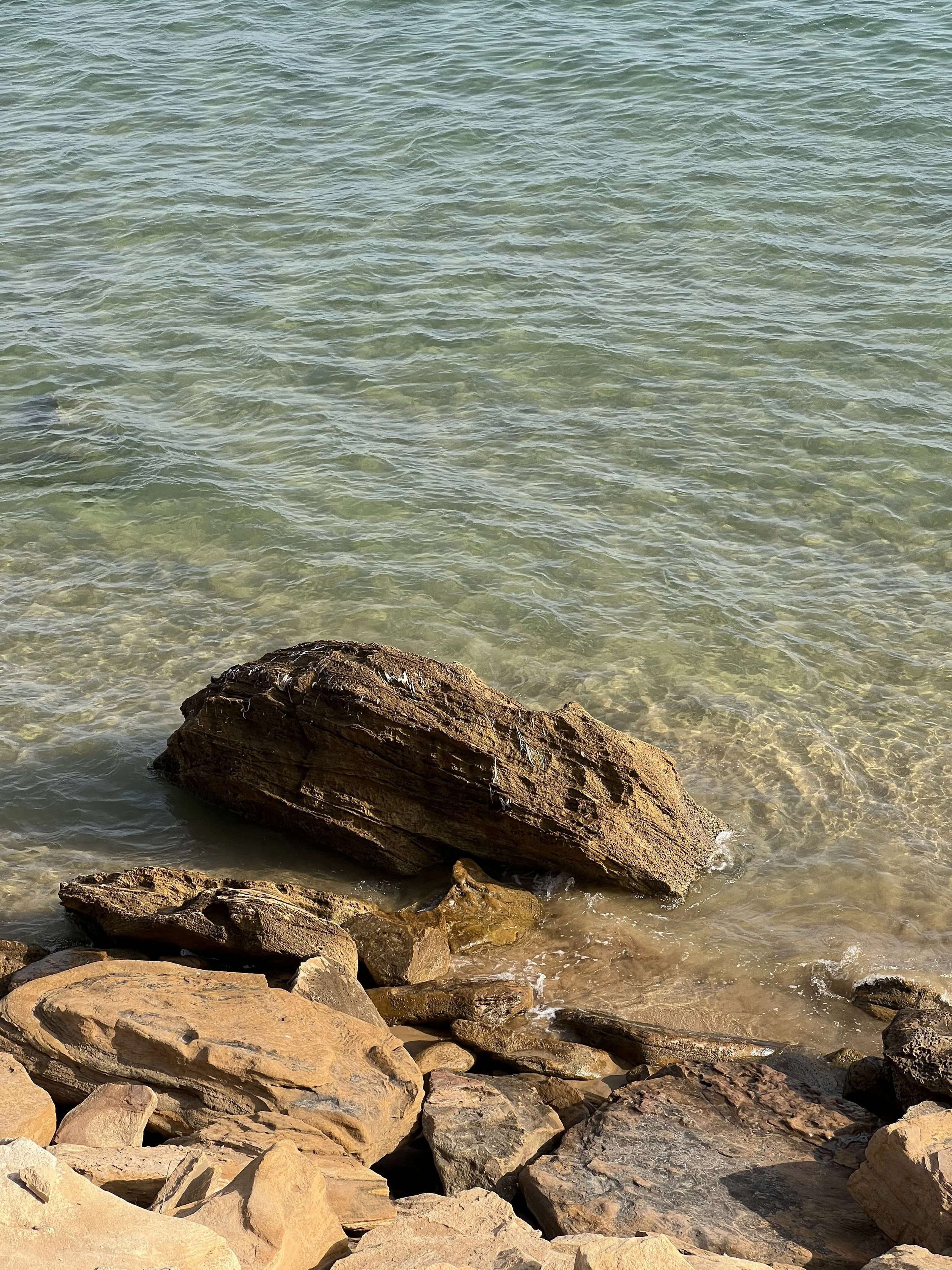 IMG_2350.JPG