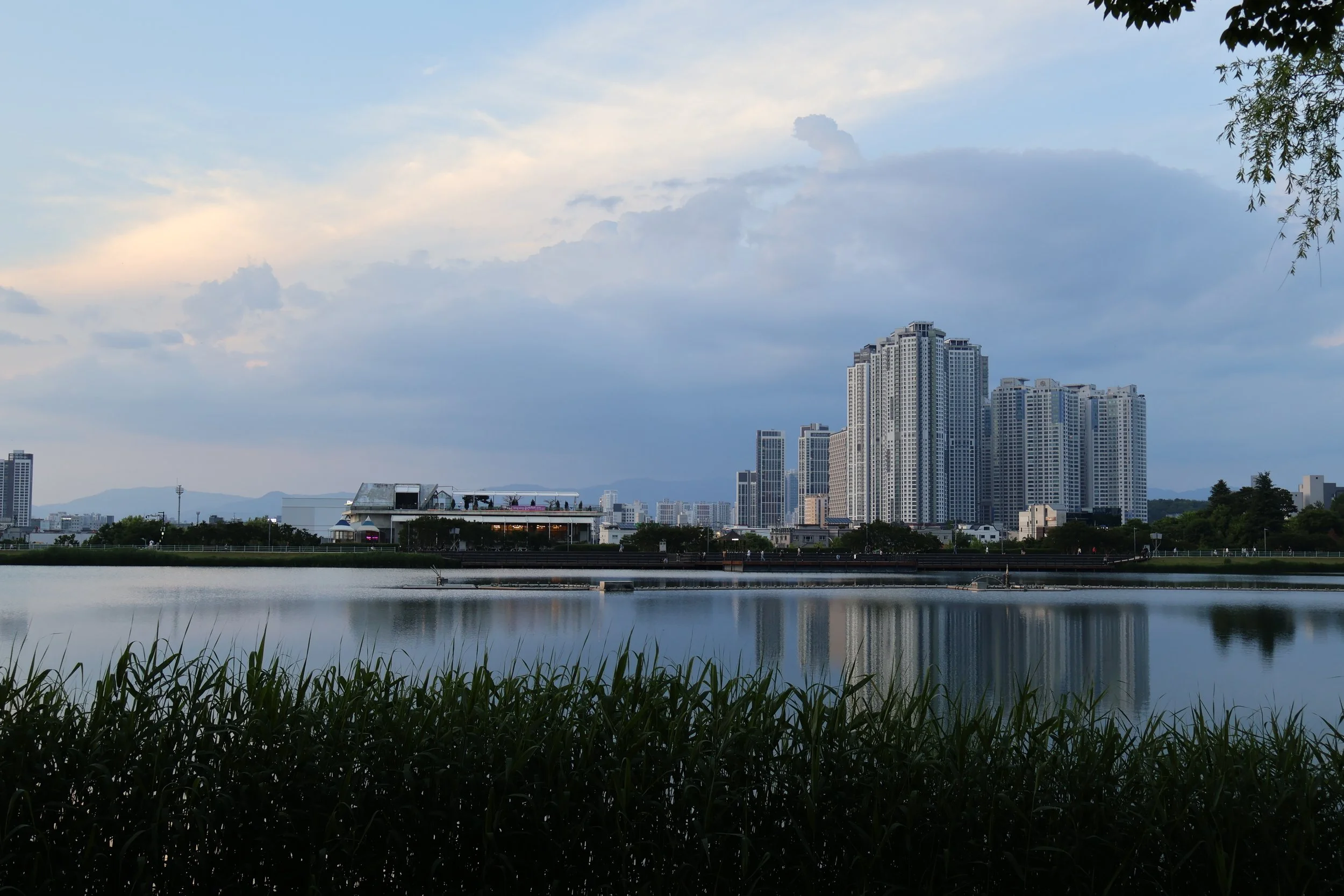 IMG_8706.JPG