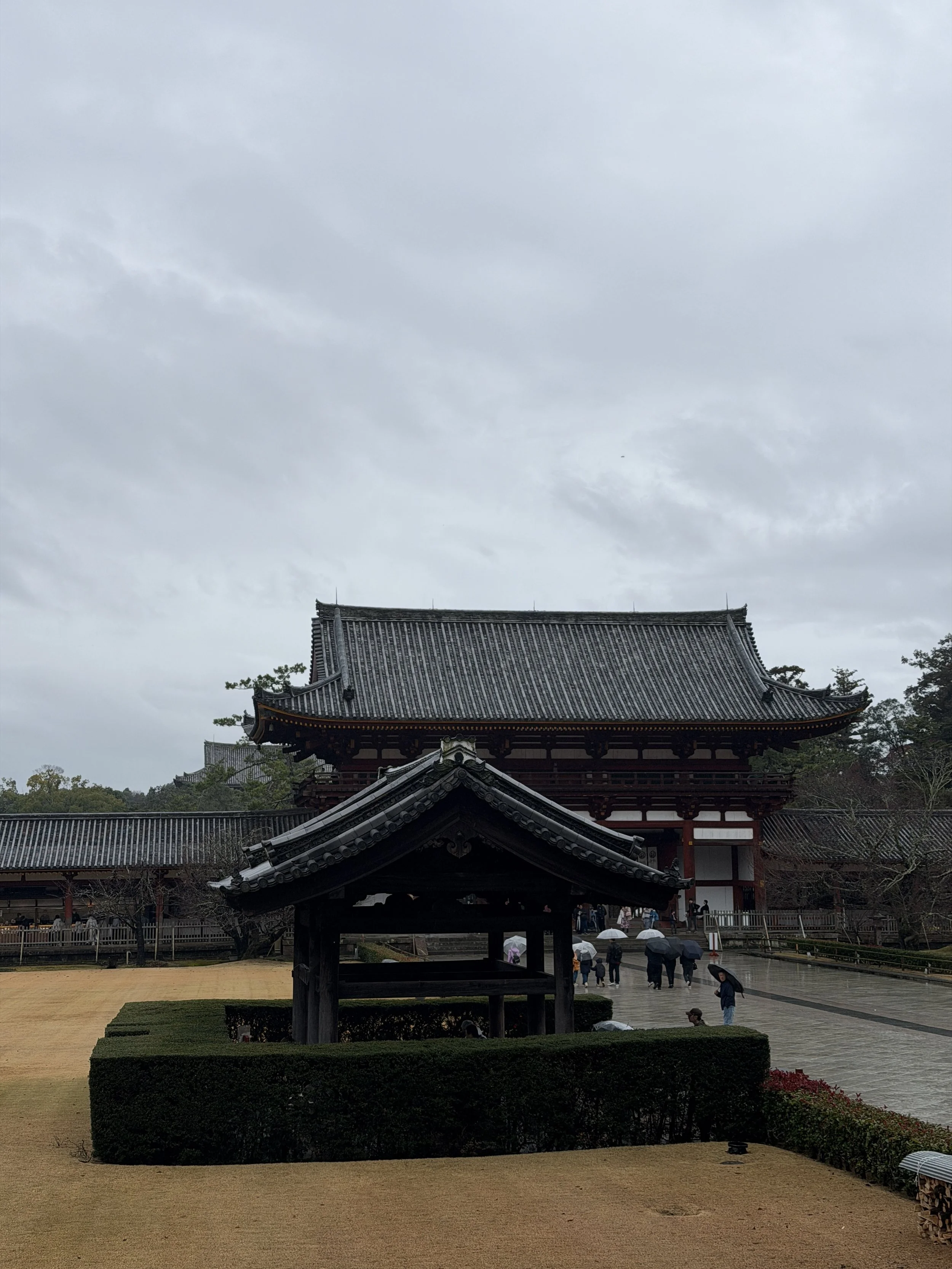 89B570F6-8441-4E96-9CF8-B96FA591A59D.JPG