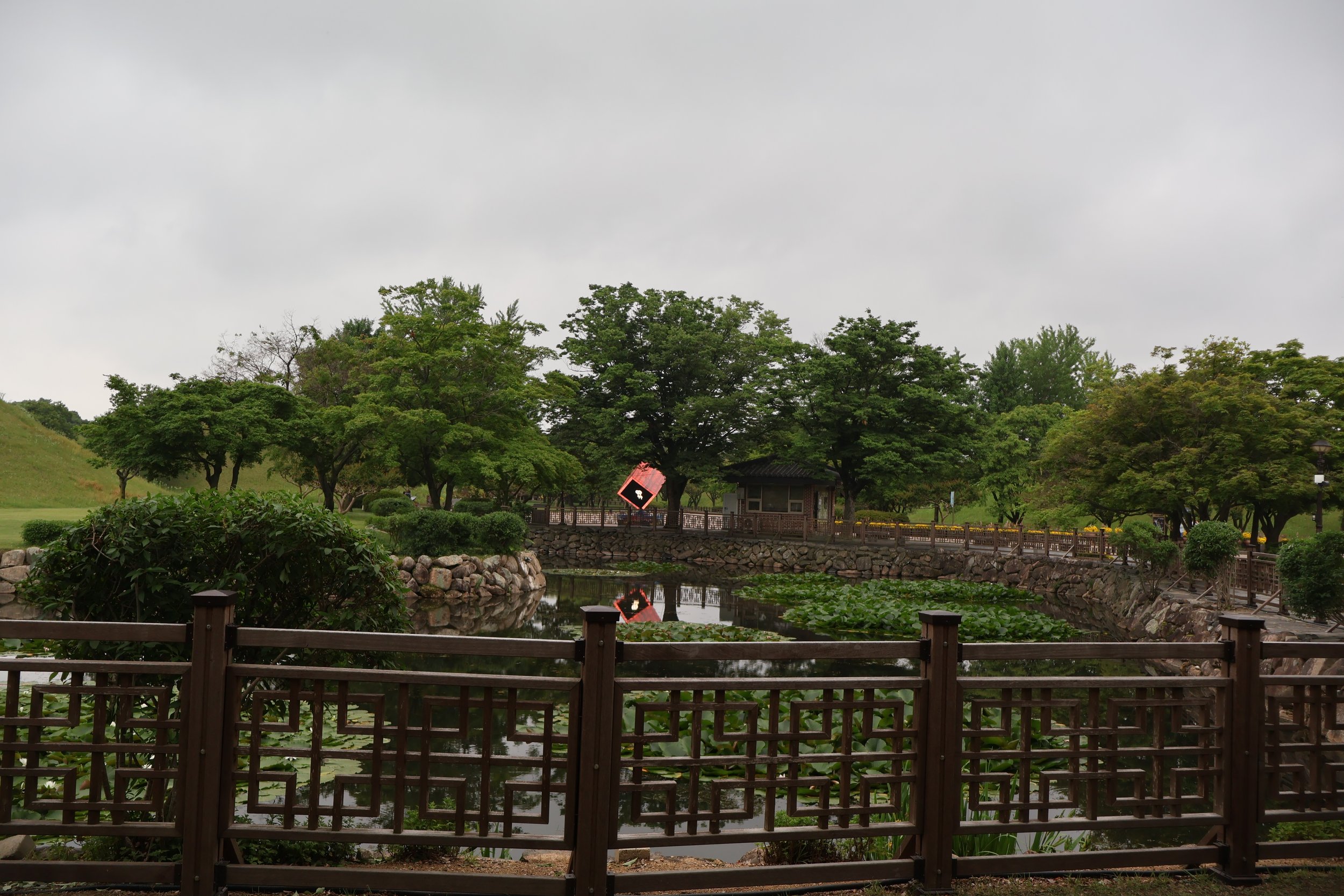 IMG_8979.JPG