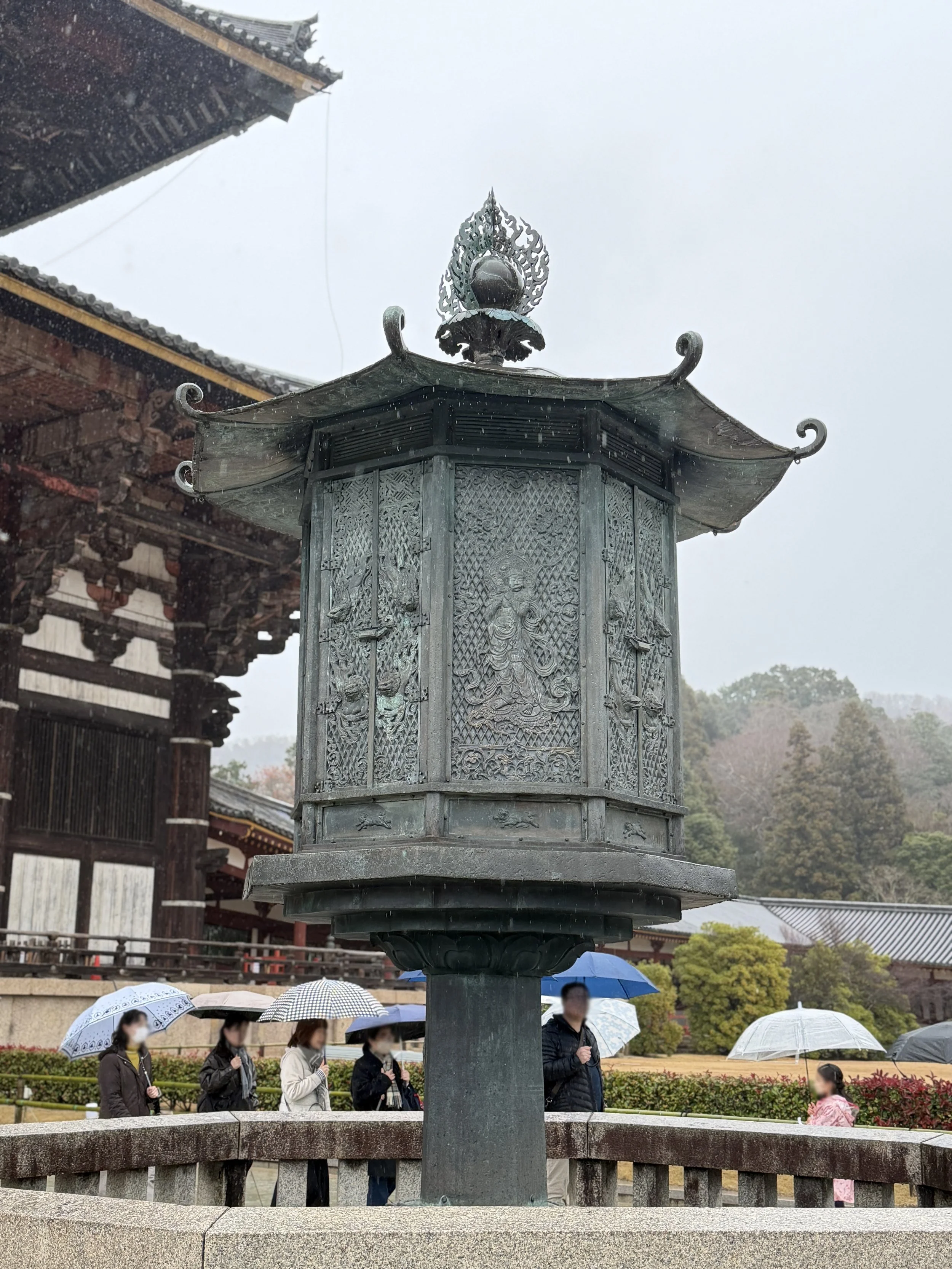 95B61E1D-49EE-481B-BAB0-9077DC7DEDD3a.jpg
