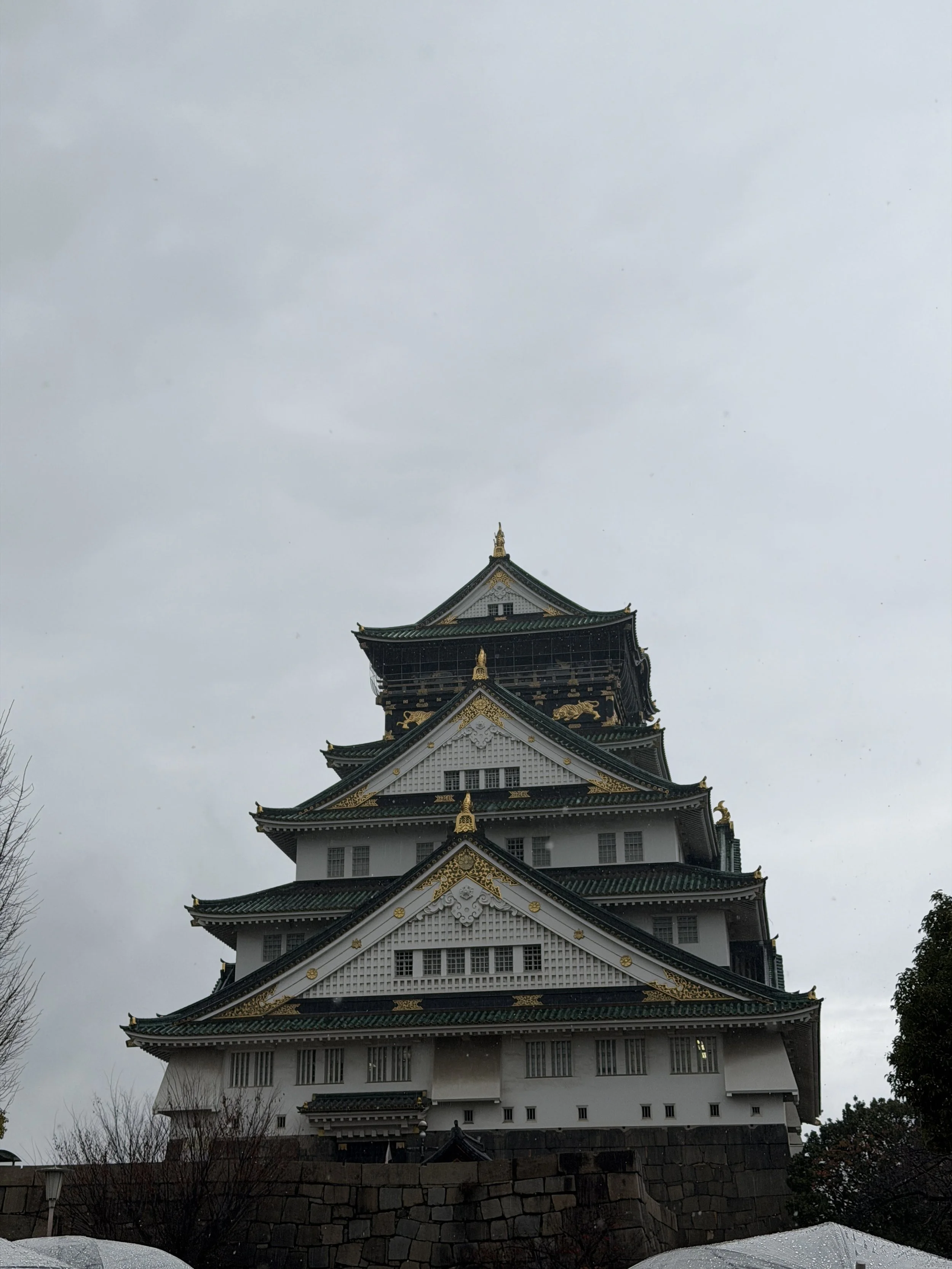 IMG_8827.JPG