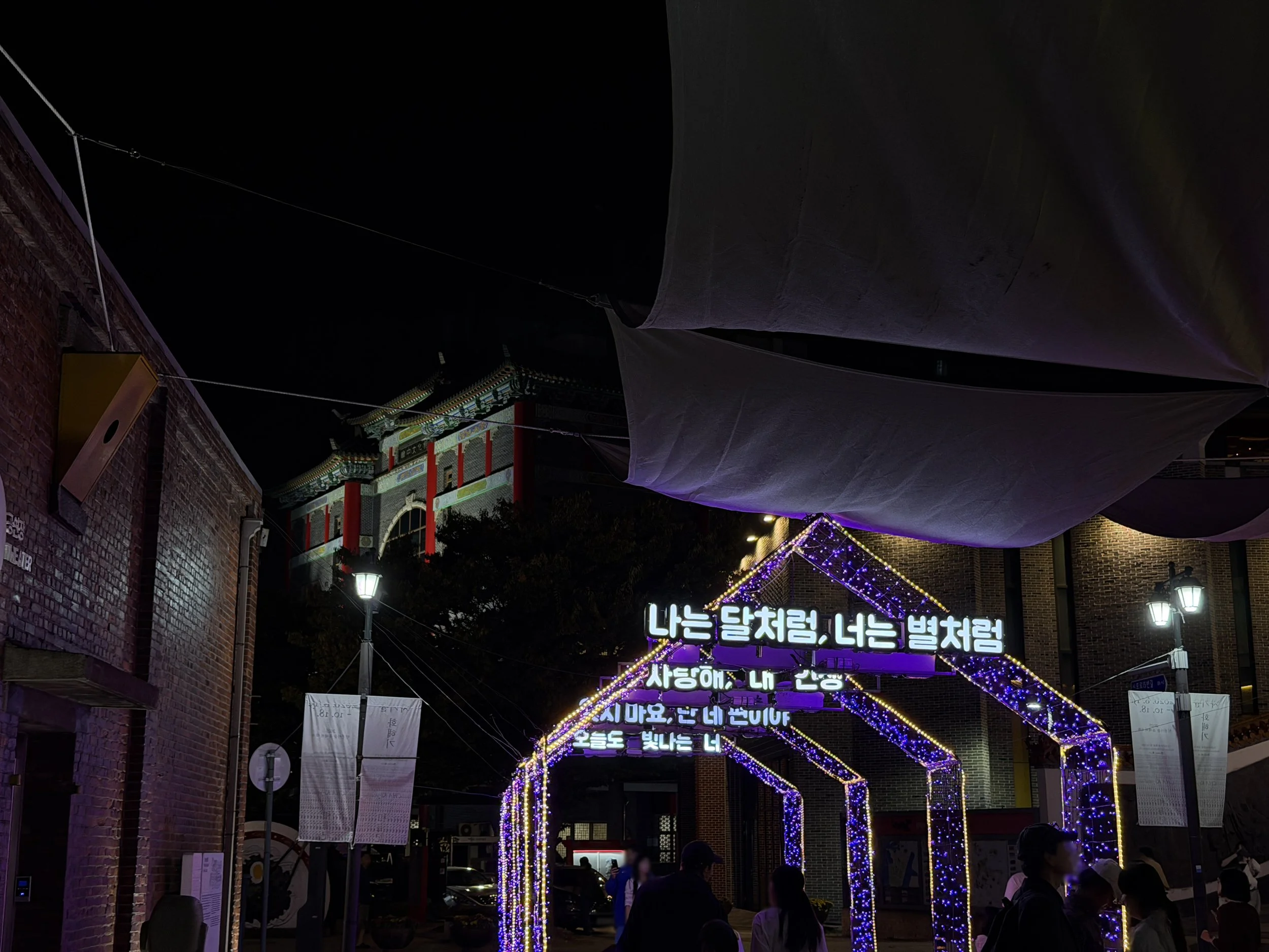 IMG_5084a.jpg