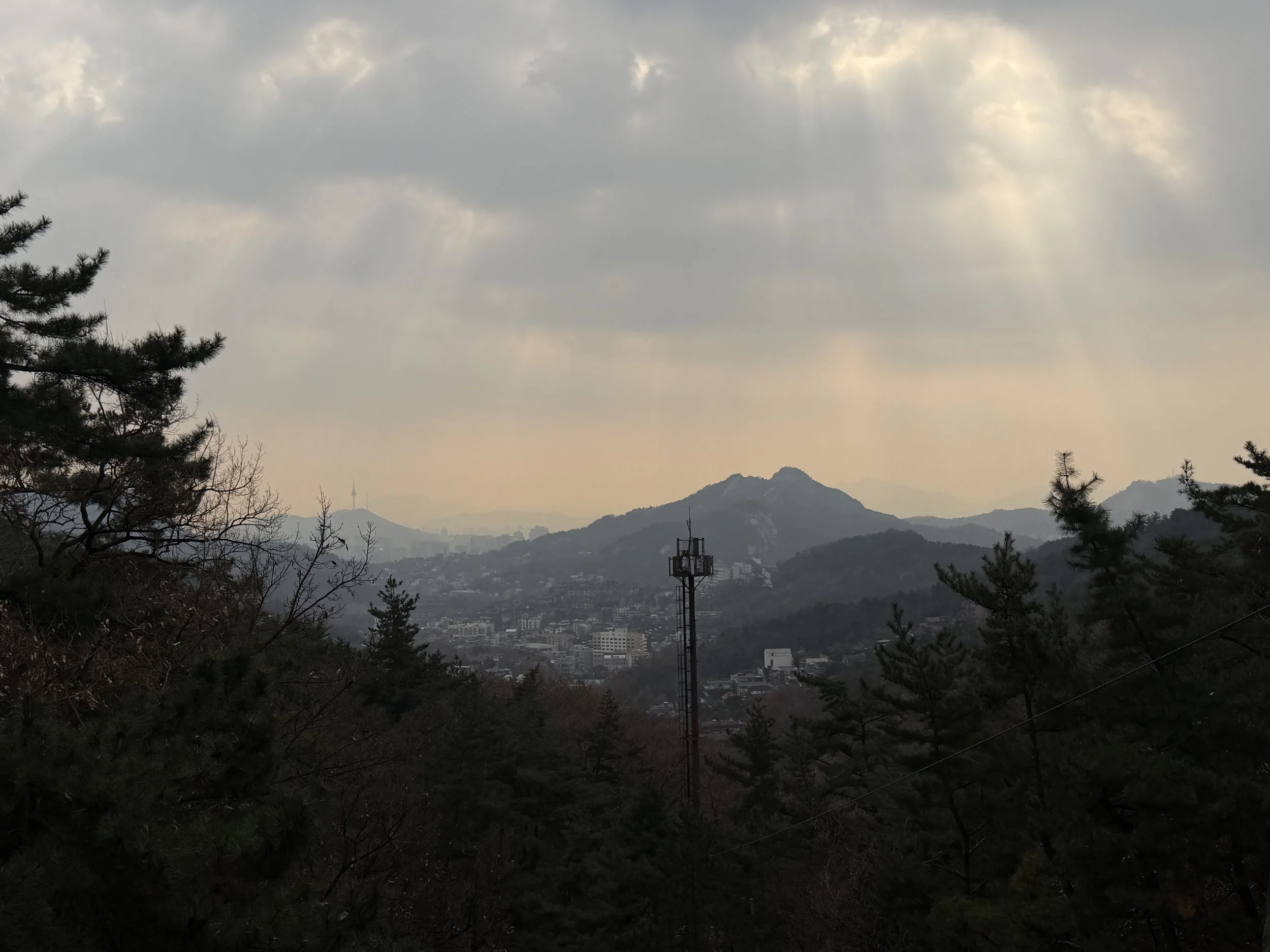 37B66194-5848-49A9-9AC4-E0698F159ACD.JPG