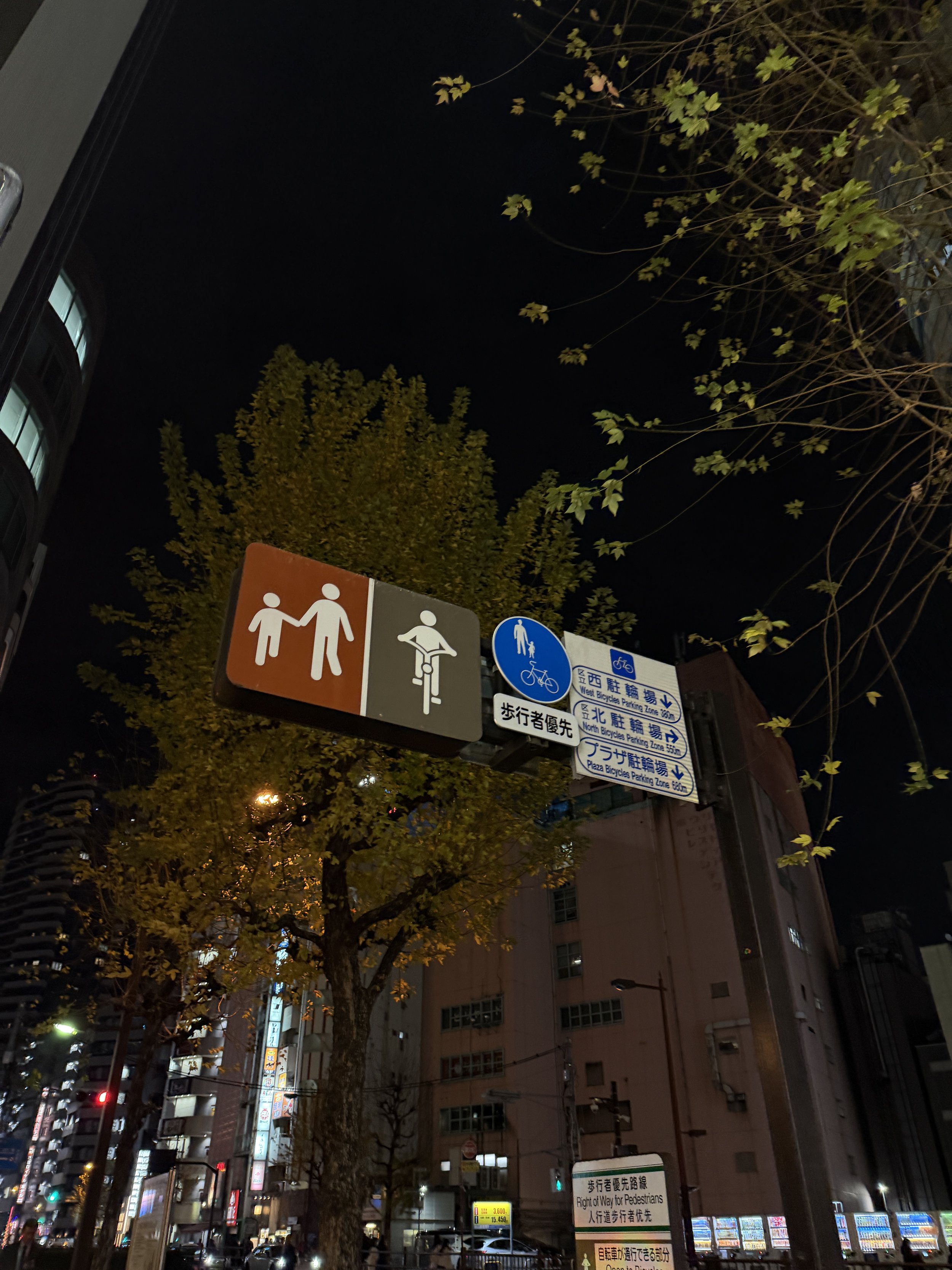 991F46D3-789C-44AA-AF84-D2BED4BB72C3.JPG
