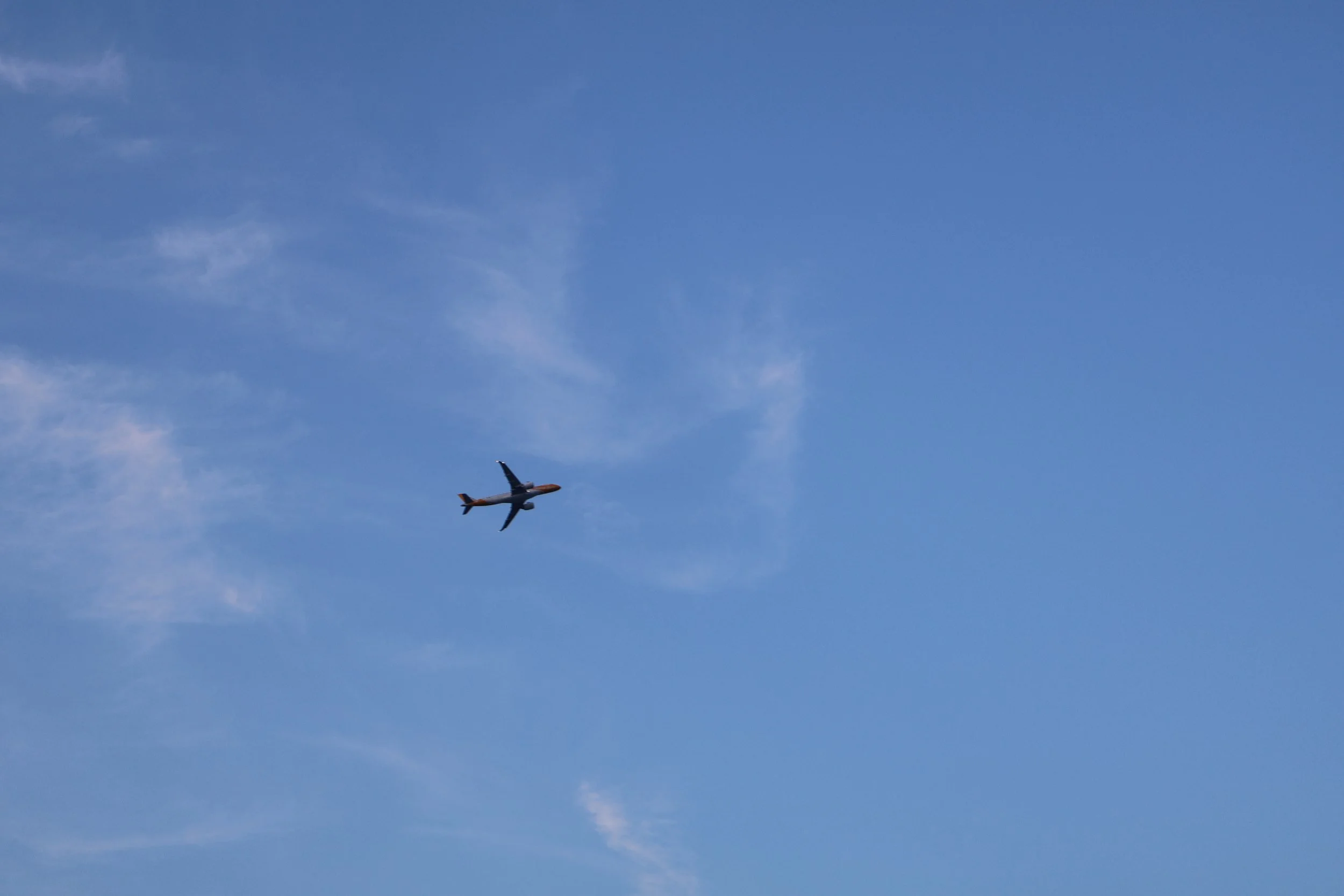 IMG_4920.JPG