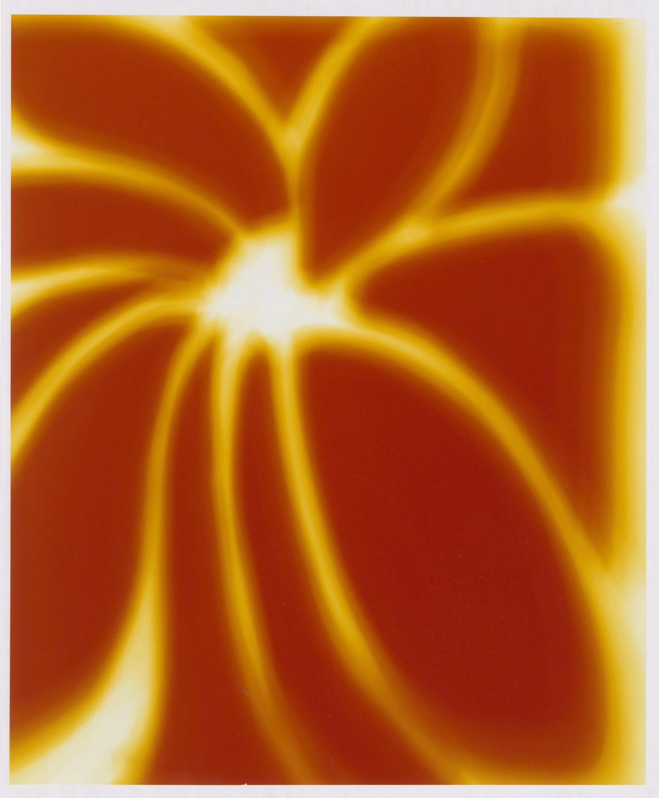 Flor II.jpeg