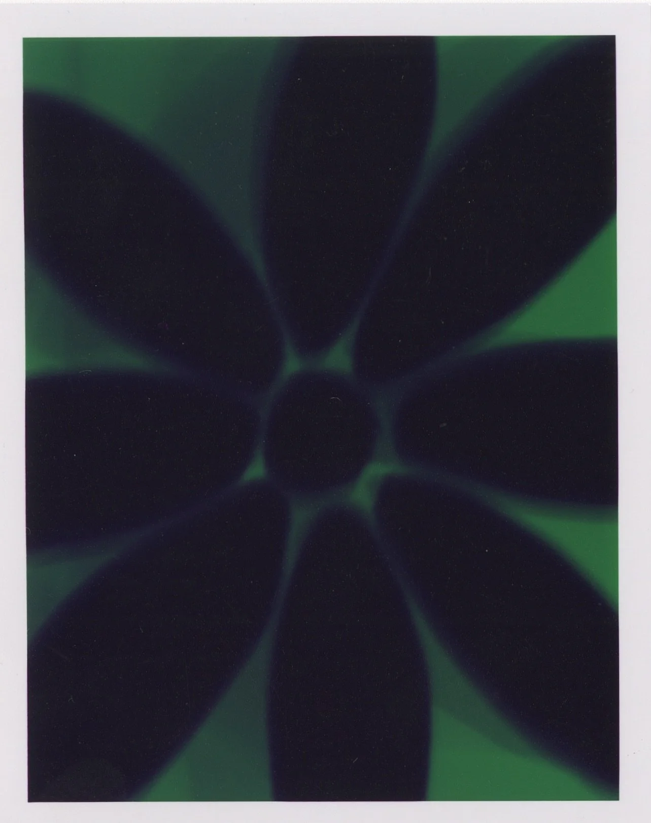 Radial I.jpeg