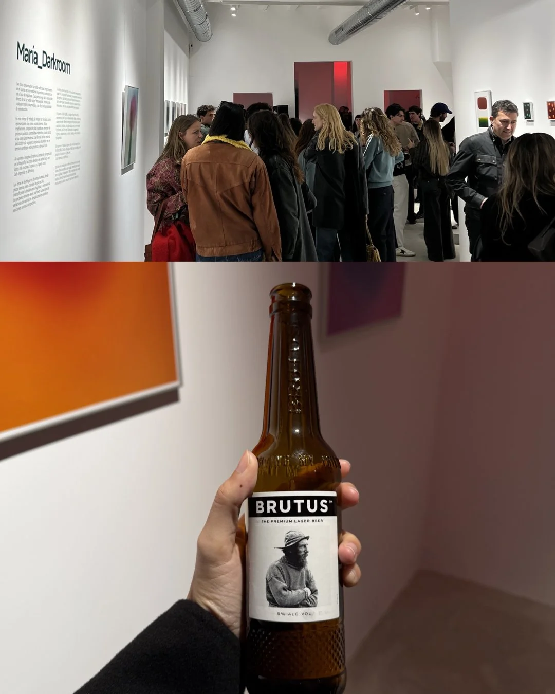 post_inauguracion_aidemi8 còpia.001.jpeg