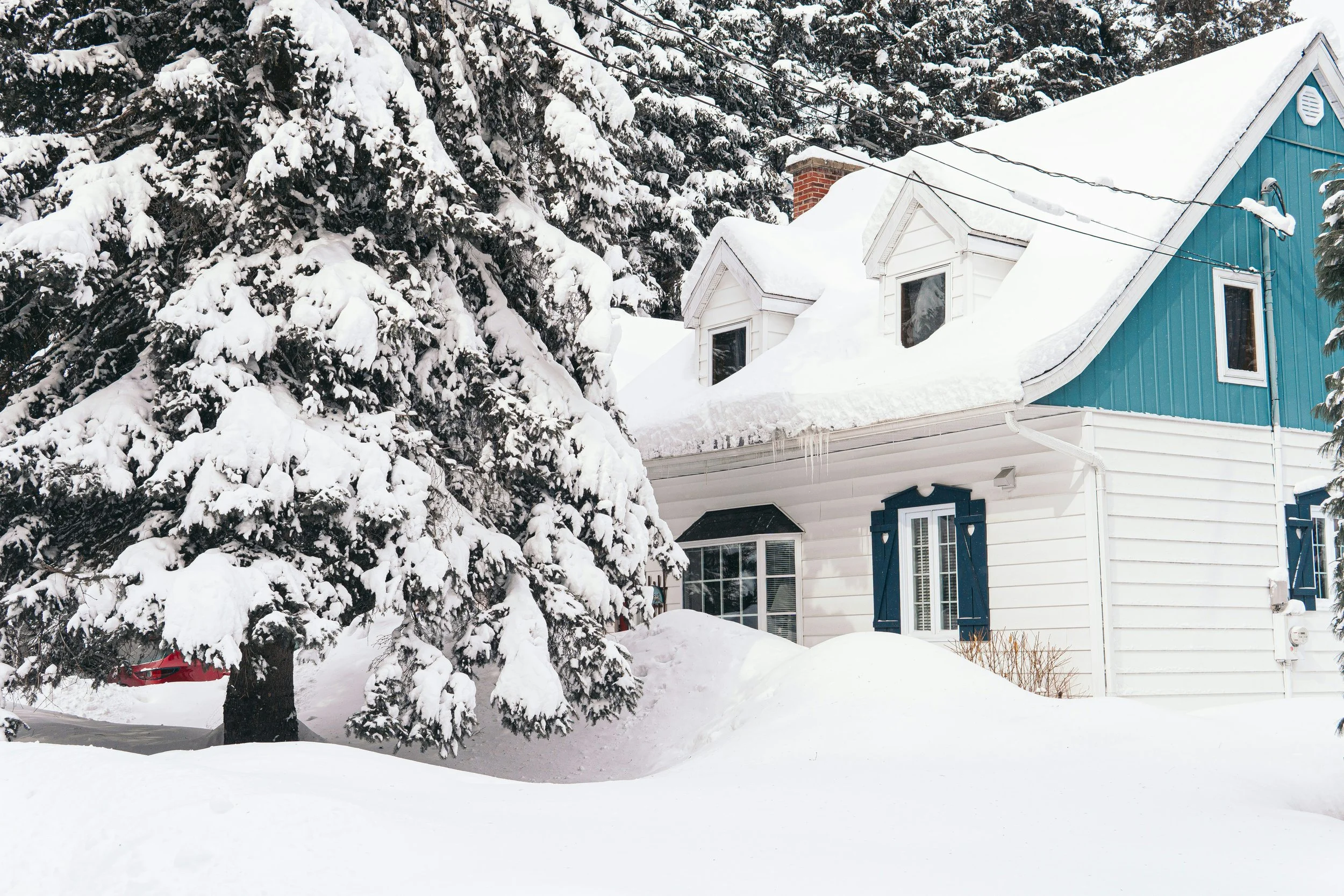 Winter Monitoring (Weekly)