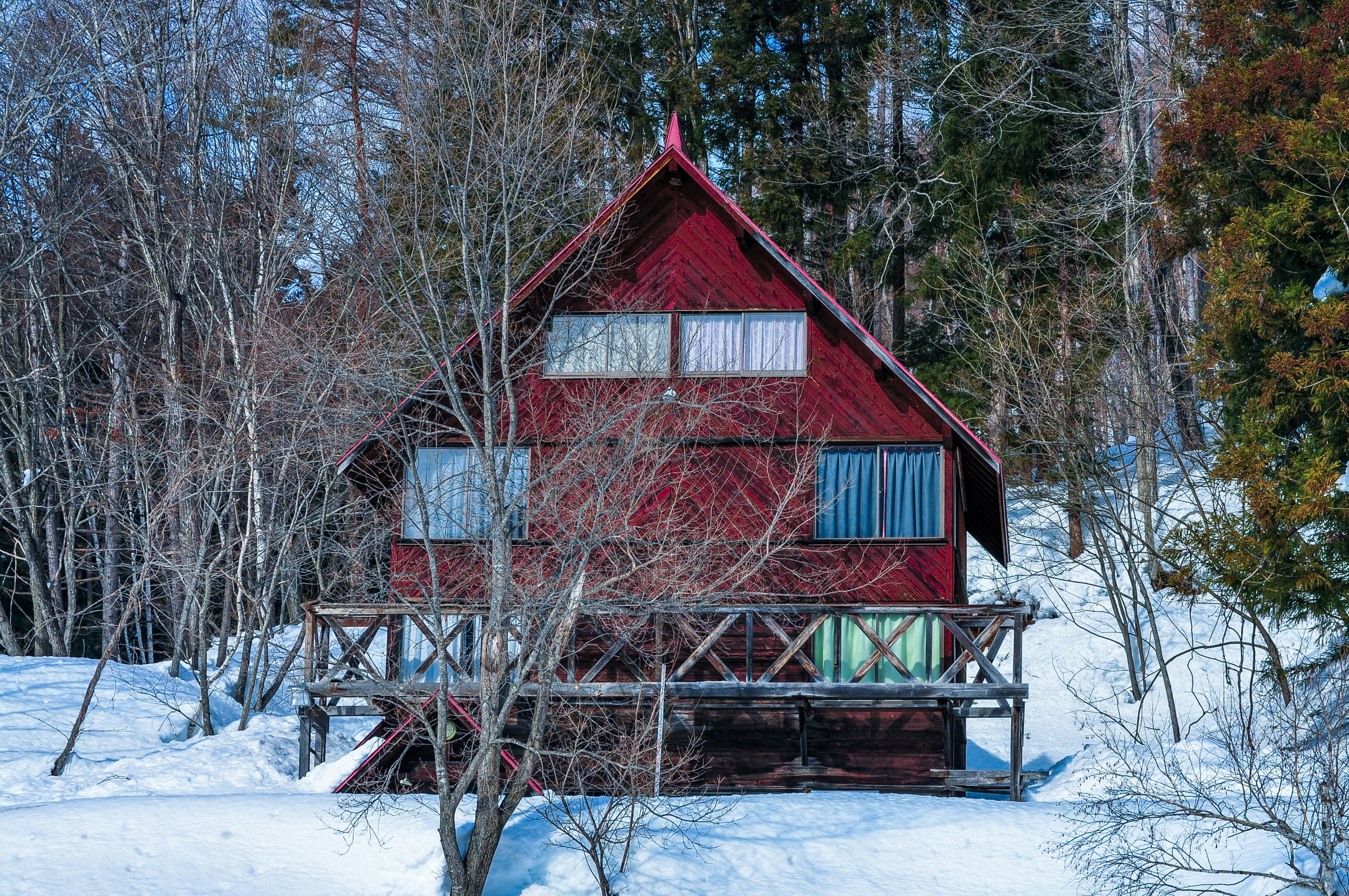 Winter Freeze Plan