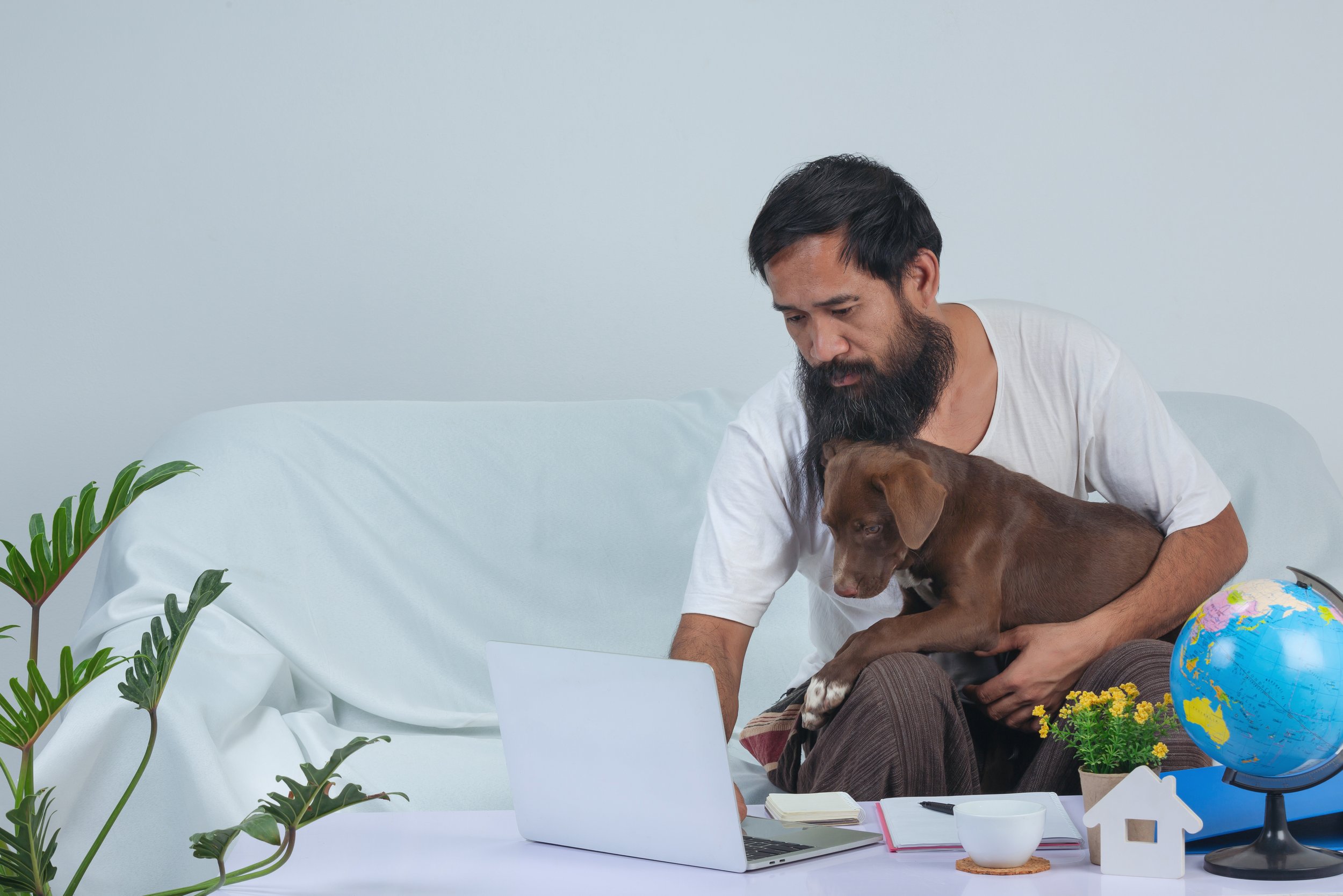 man-is-playing-with-pet-while-working-sofa-home.jpg