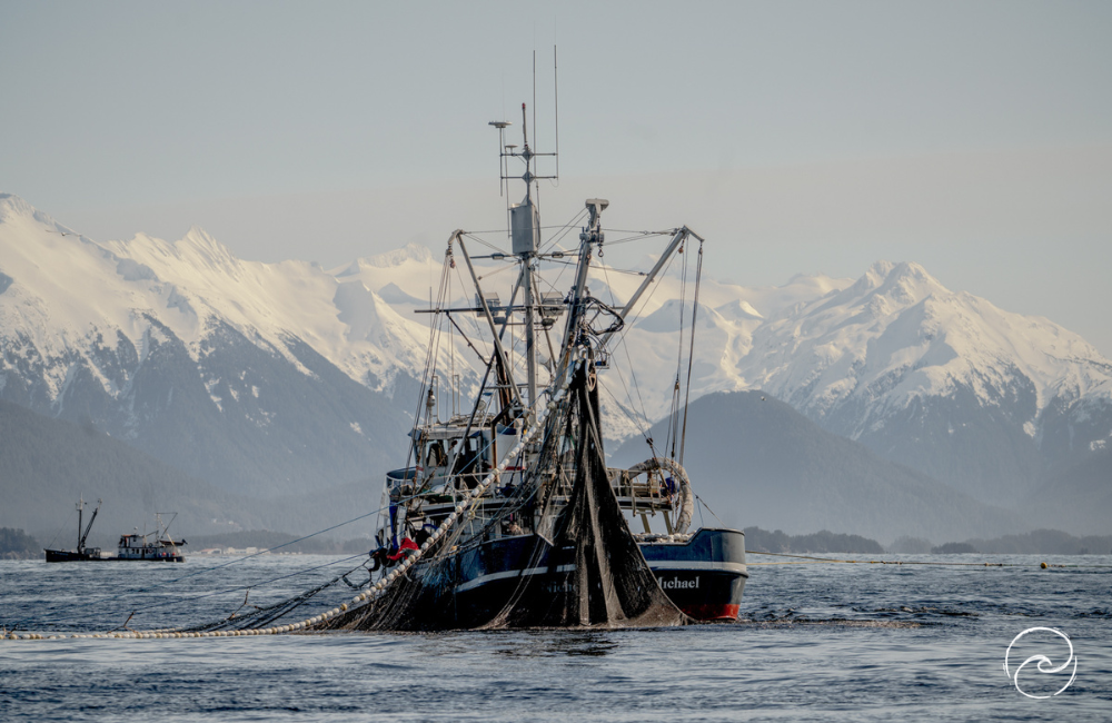 A large fishing boat with nets in the water, set against snow-capped mountains in the background.