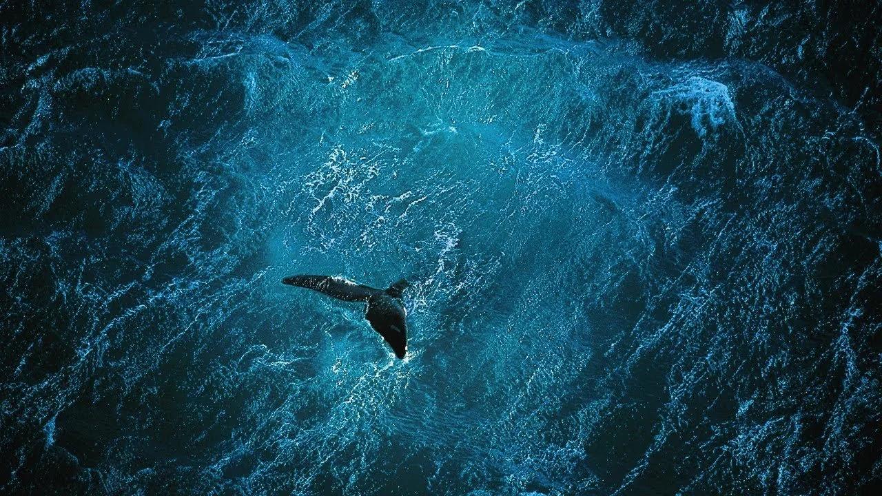 A bird flying over a large, turbulent blue ocean wave.