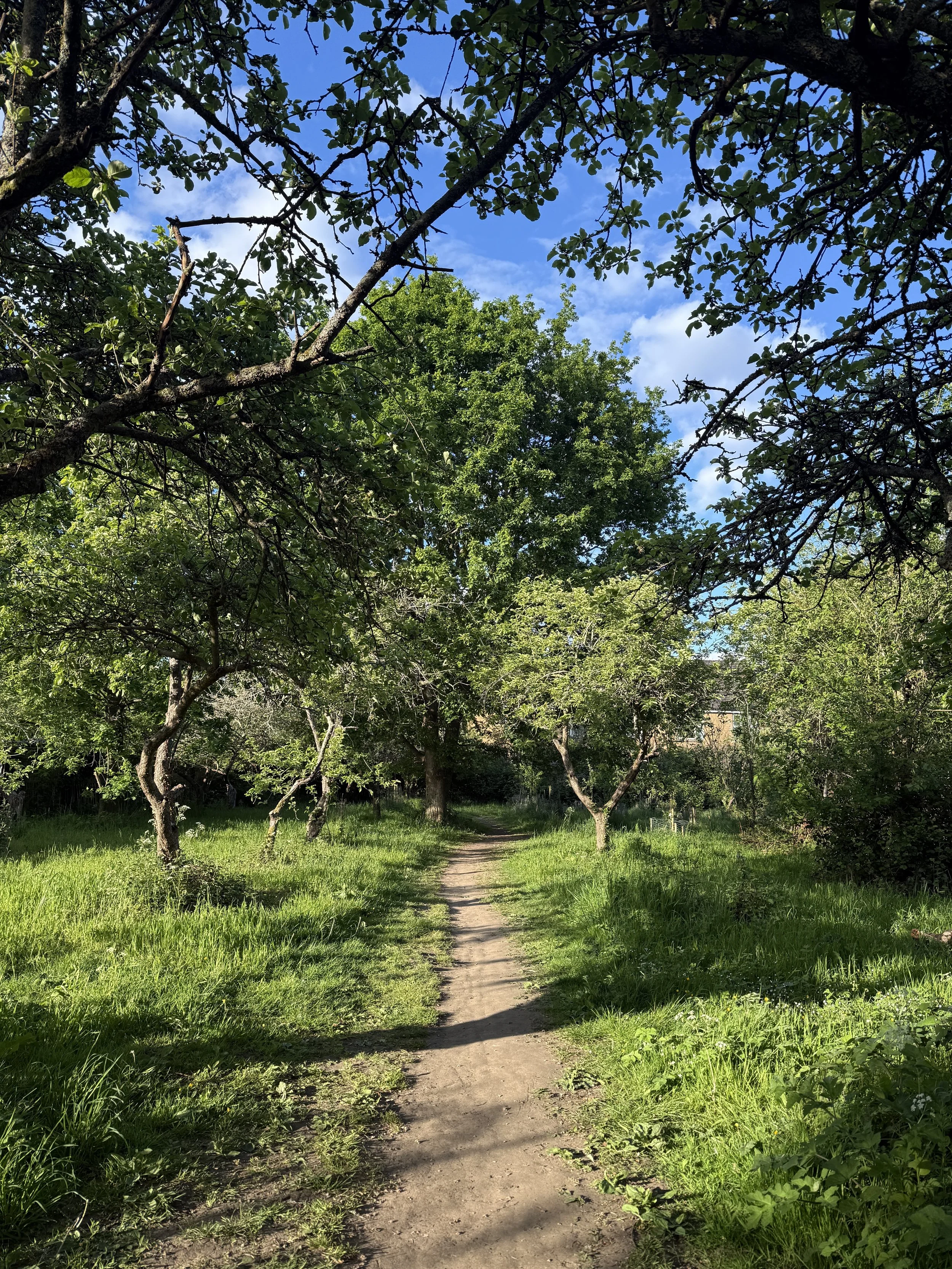 Warneford Meadow Oxford