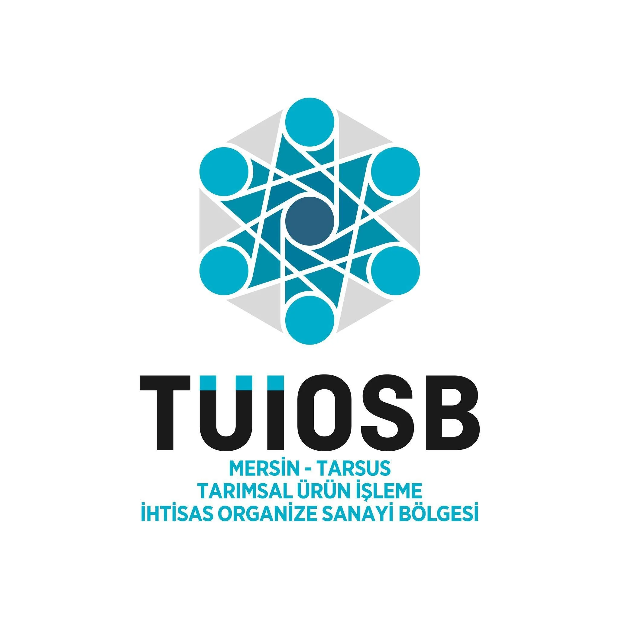 TUİOSB logosu, arka planda mavi ve gri renkli geometrik tasarım ve altında Mersin-Tarsus Tarımsal Ürün İşleme İhtisas Organize Sanayi Bölgesi yazısı.