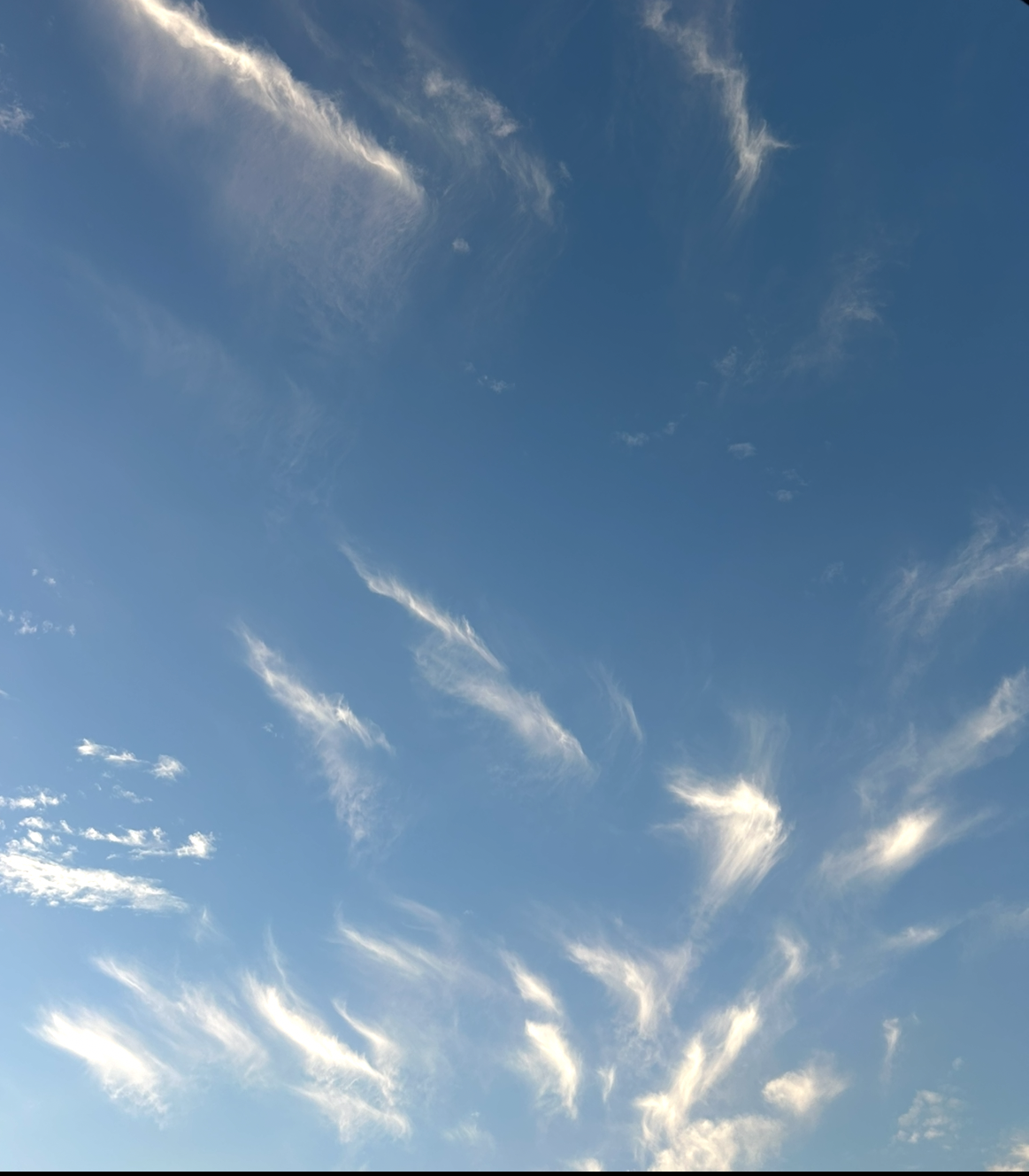 Soulembodiment GRACE INTEGRITY® 3:1