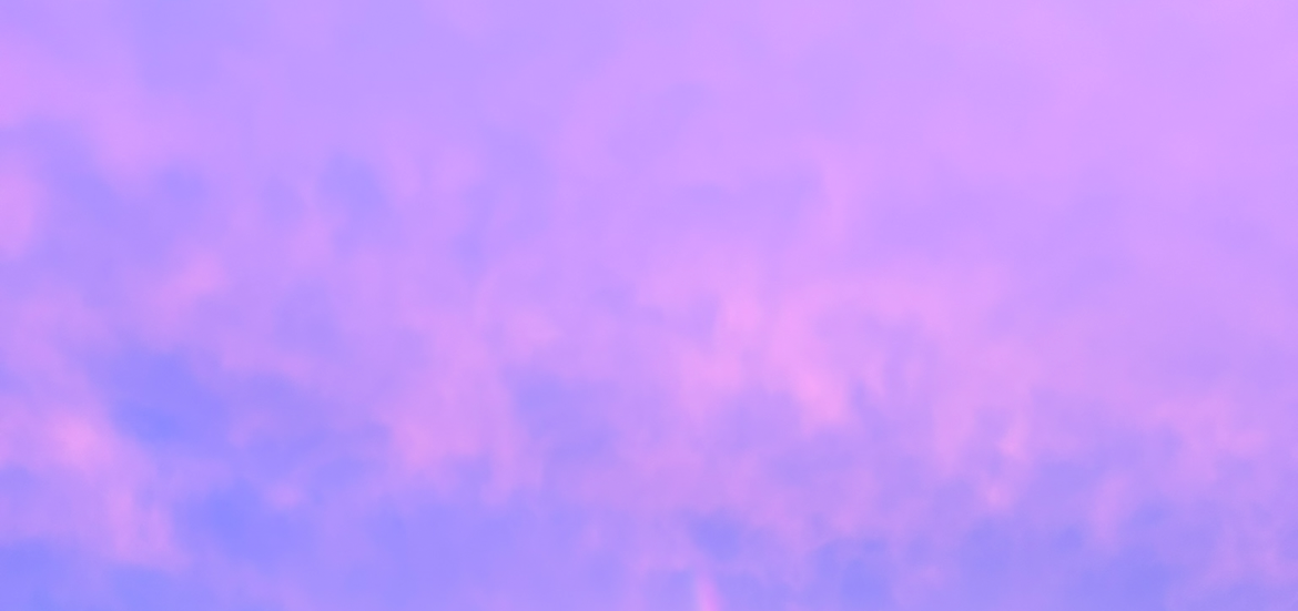 Soulembodiment GRACE INTEGRITY® Mental Heart Fusion - now for €50