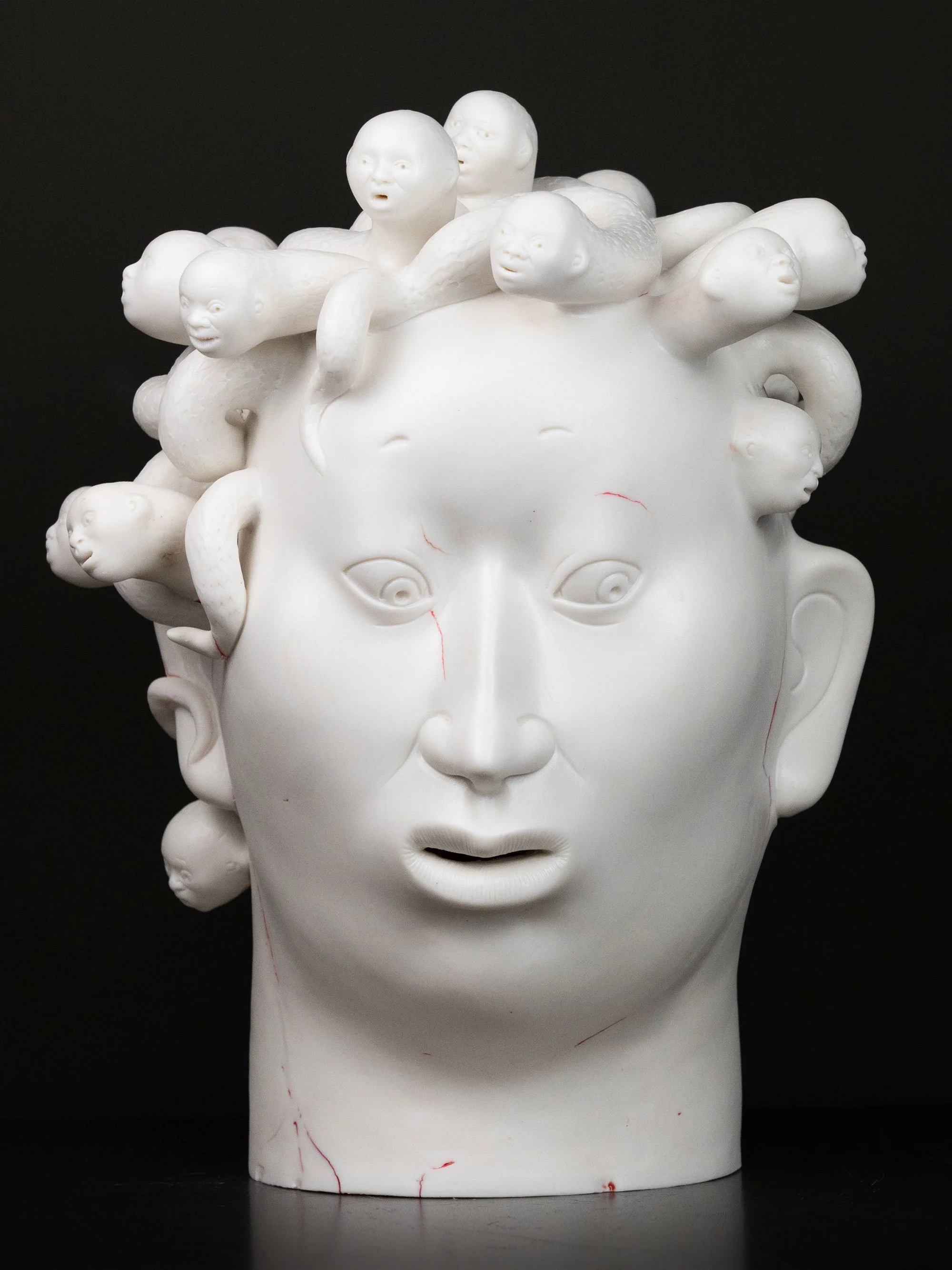 Surface Tension. Medusa