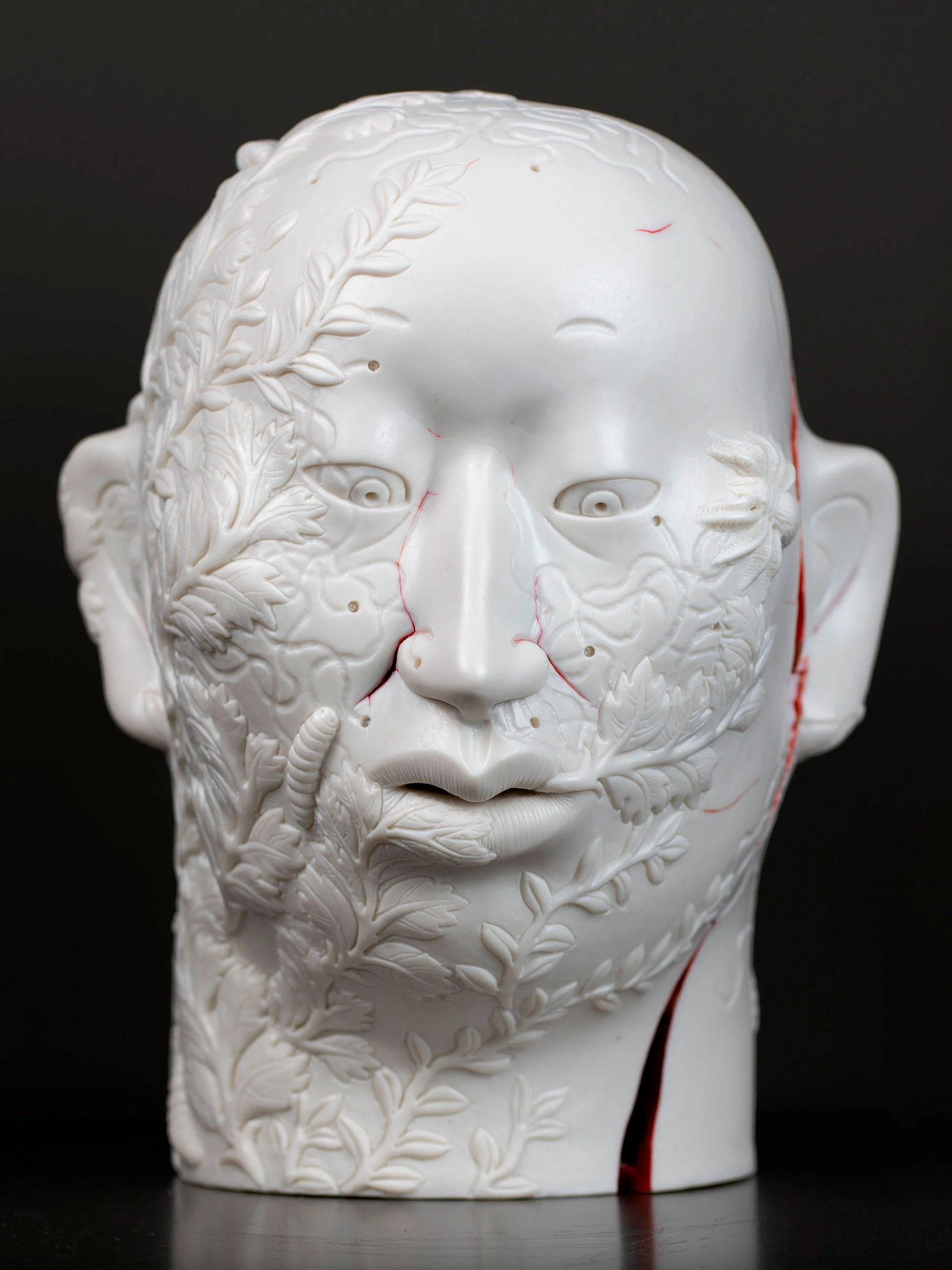 Surface Tension. Cycle