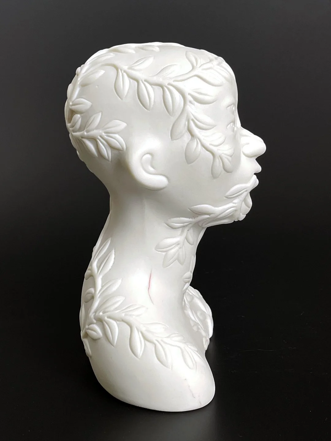 Head_I_Leaves5.jpg
