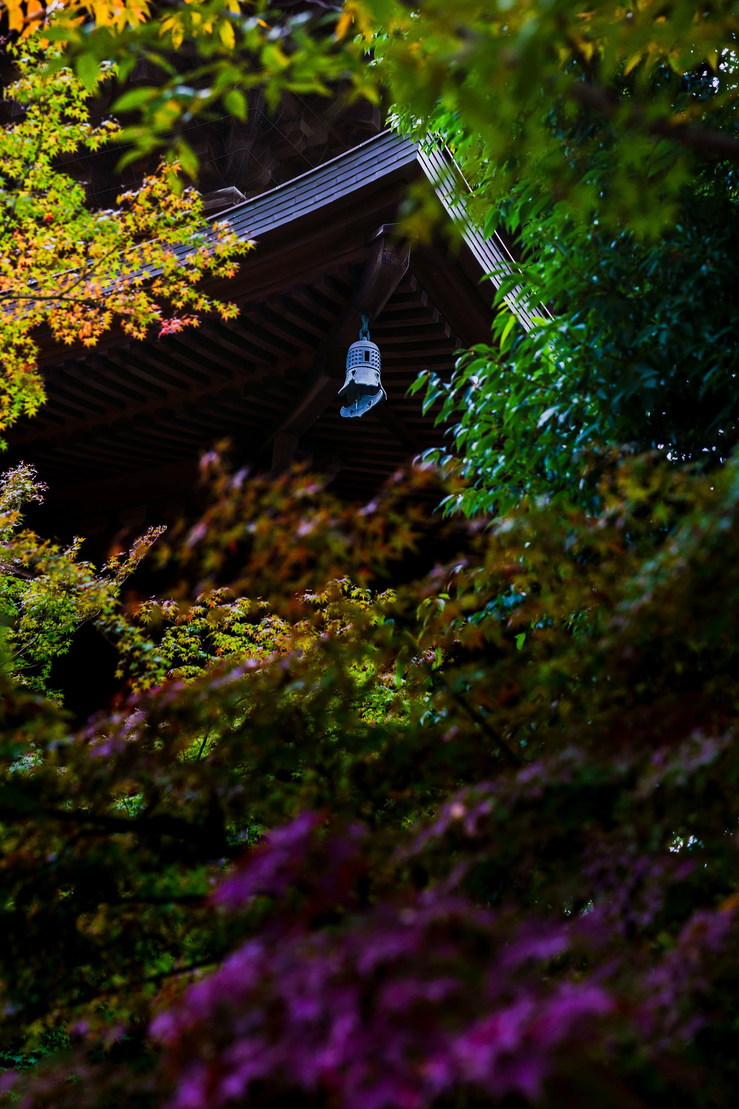 A lantern hanging from the corner of a dark wooden roof, surrounded by colorful autumn leaves and foliage.