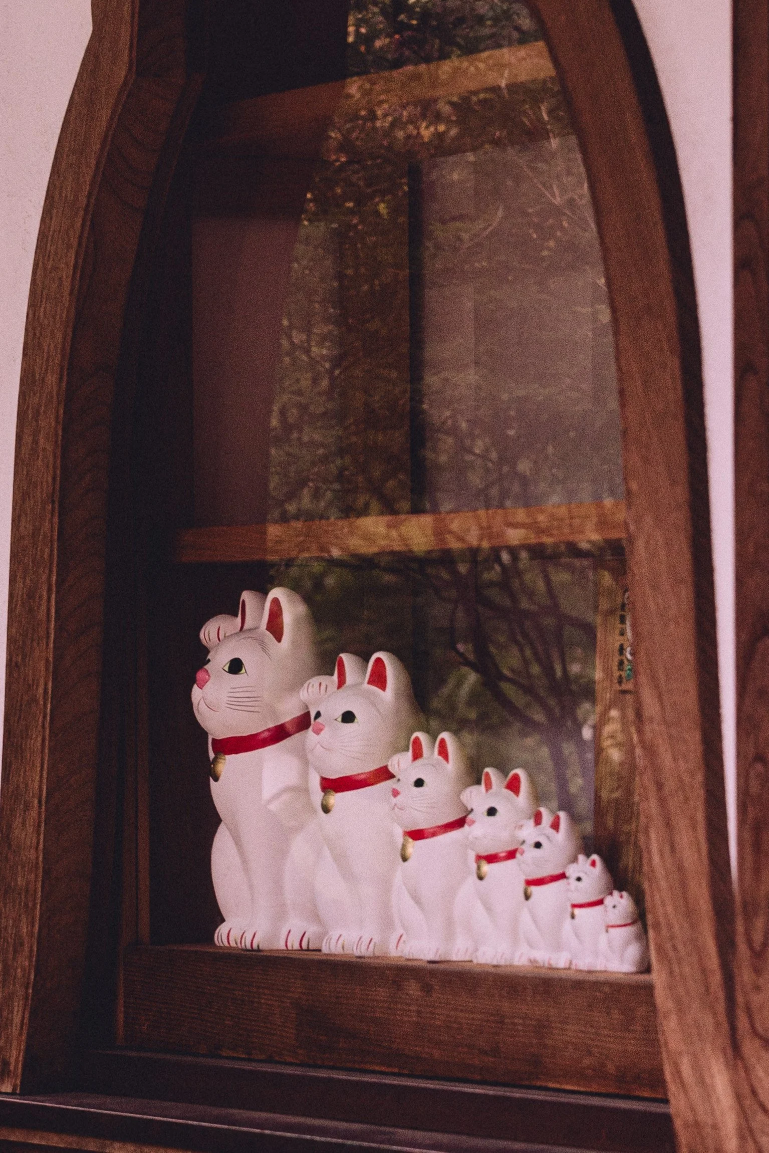 Series of white cat figurines with red collars and gold bells on a wooden shelf inside a display cabinet, with reflections of trees visible on the glass.