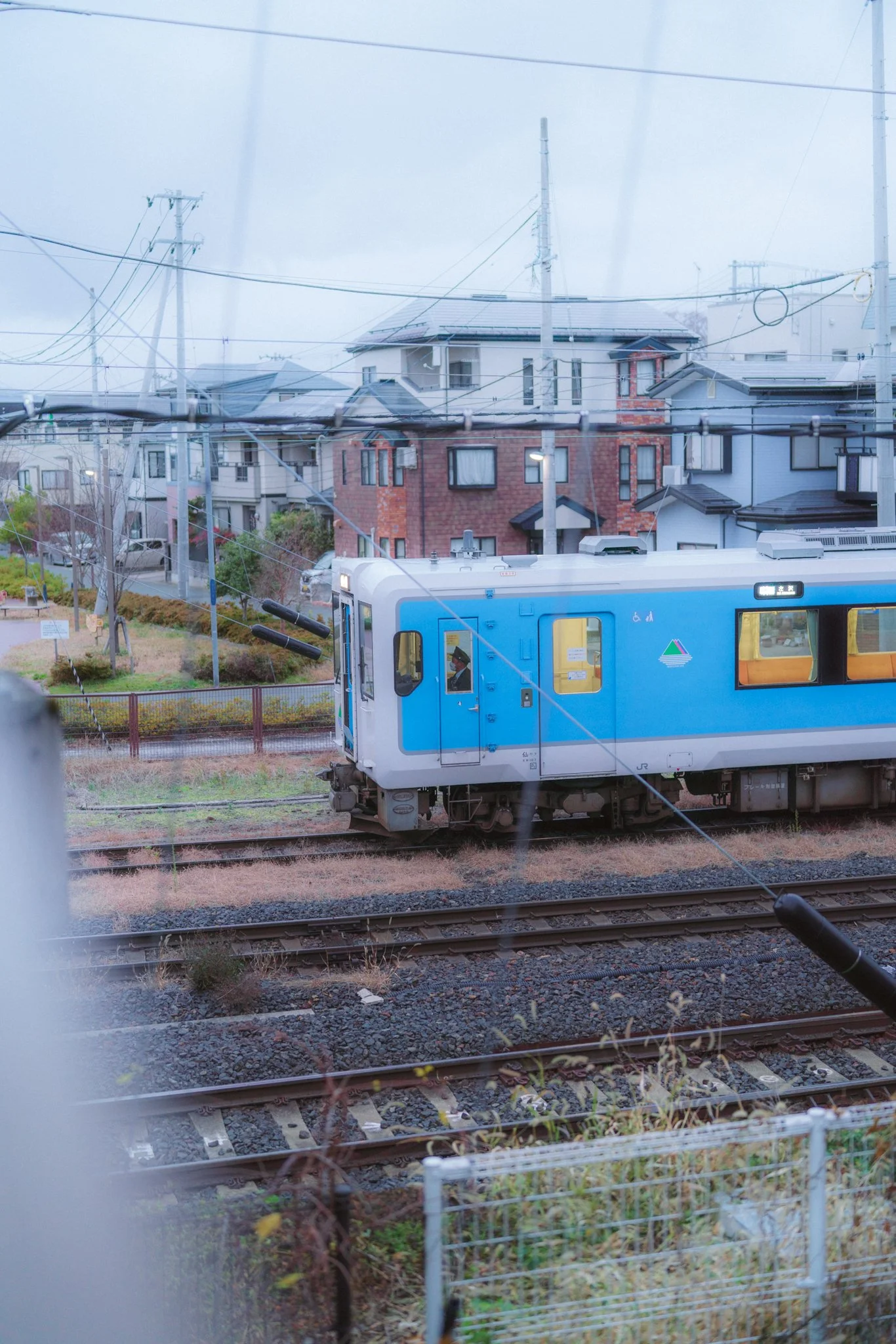 A blue and white train on railway tracks in front of residential houses and utility poles.