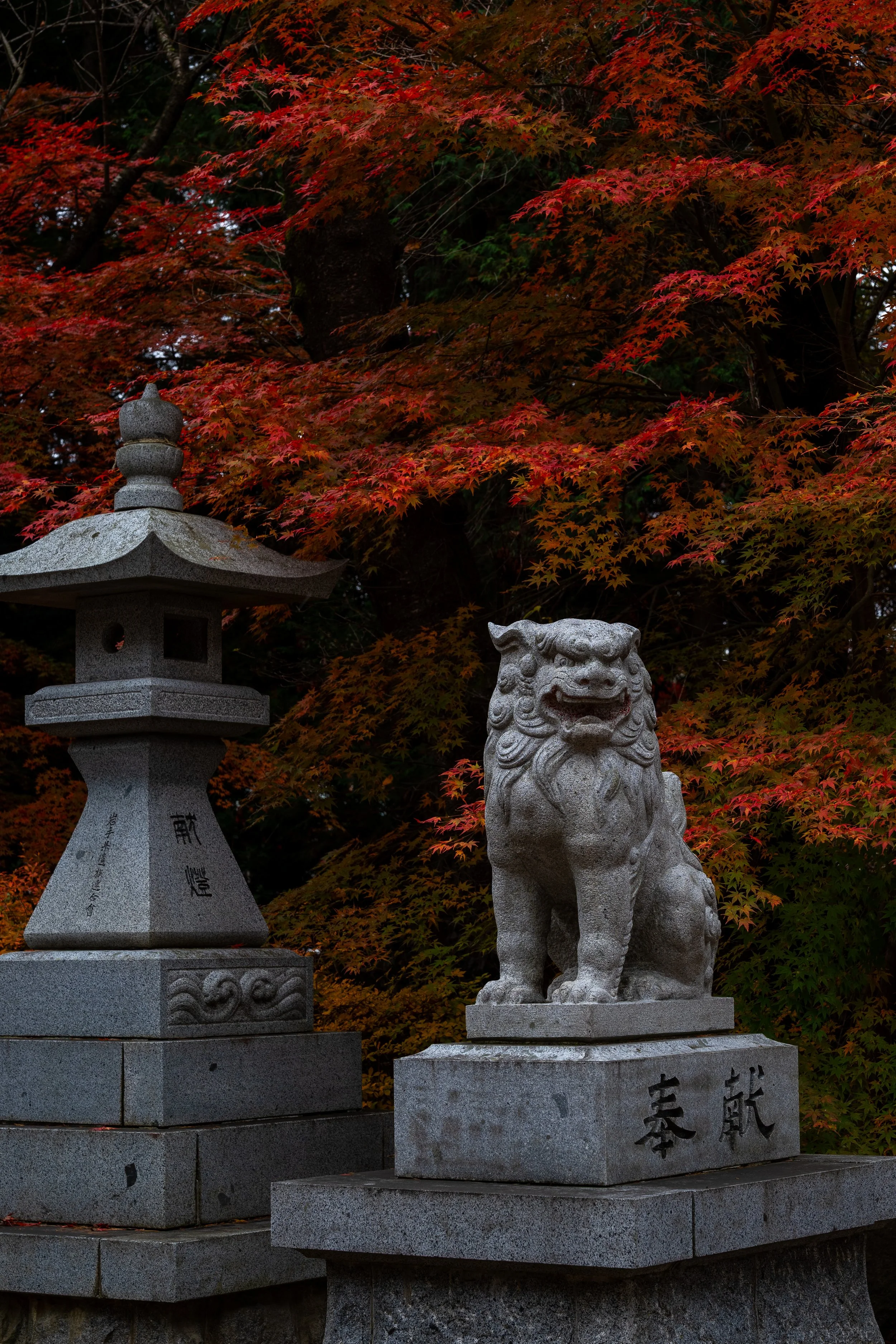 A stone guardian lion statue and a stone lantern sit in front of vibrant red and orange autumn leaves.
