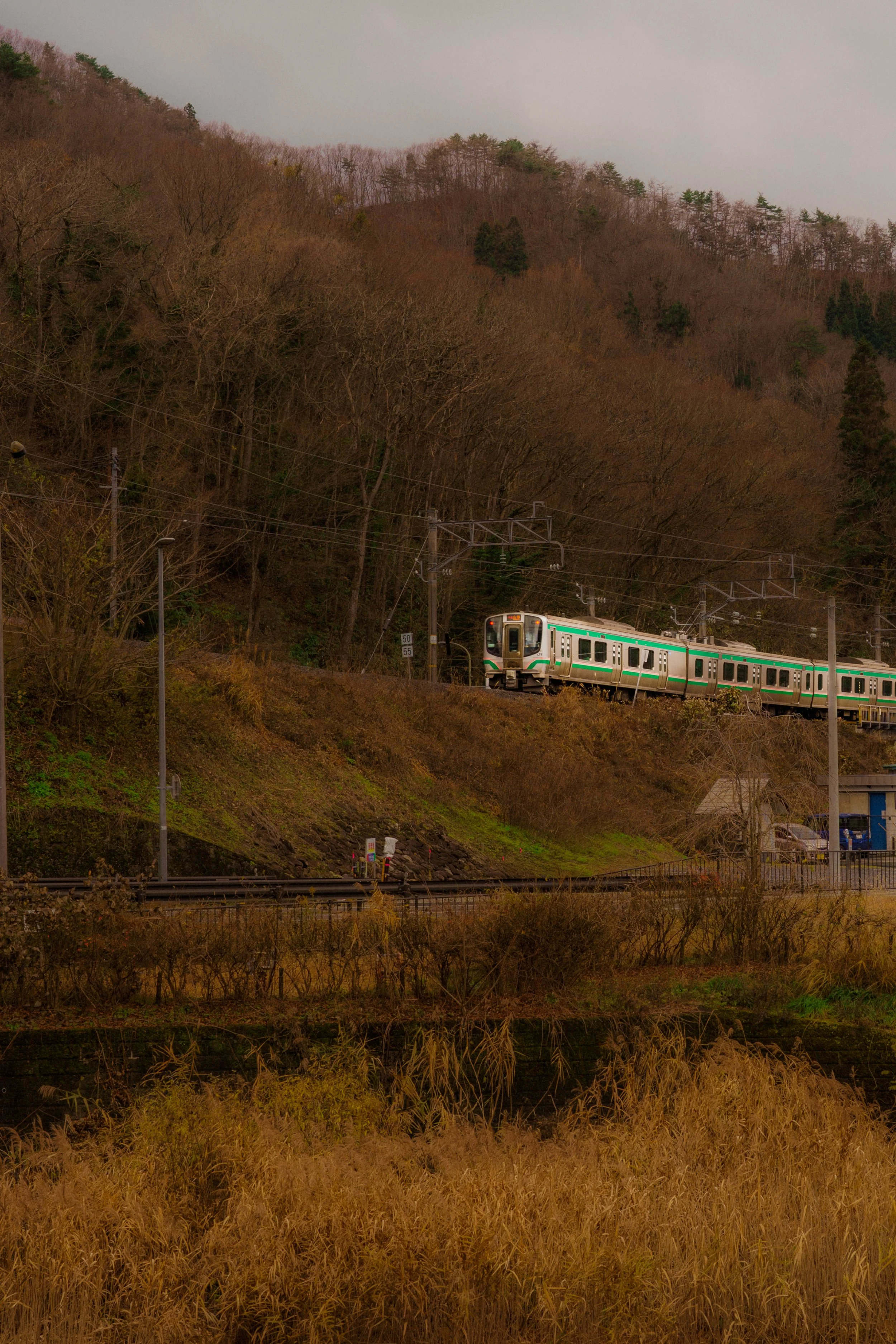 A train traveling on an elevated track through a hilly, wooded landscape with dry grass in the foreground.