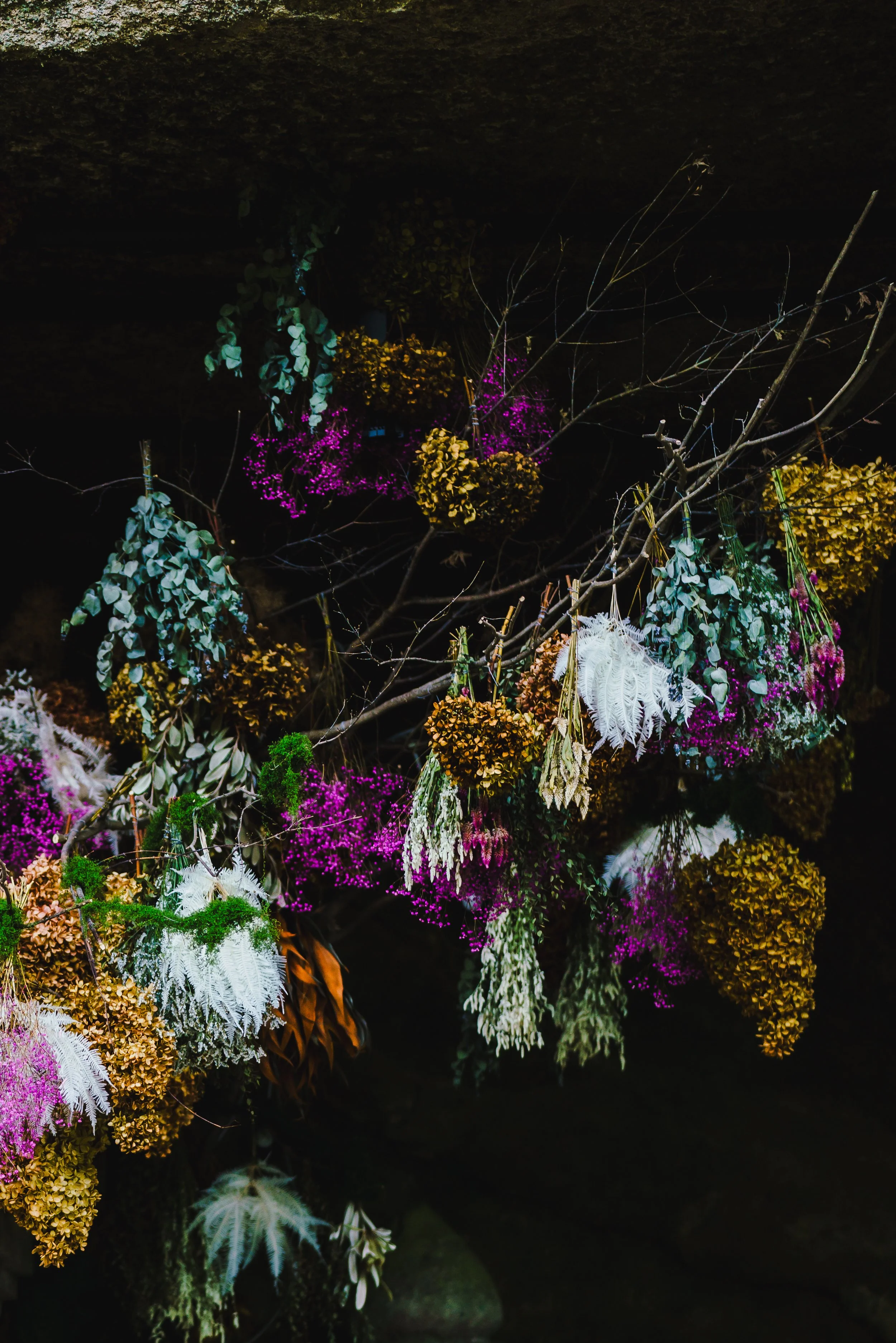 Brightly colored dried flowers and leaves hanging from tree branches in a dark setting, illuminated by natural light.