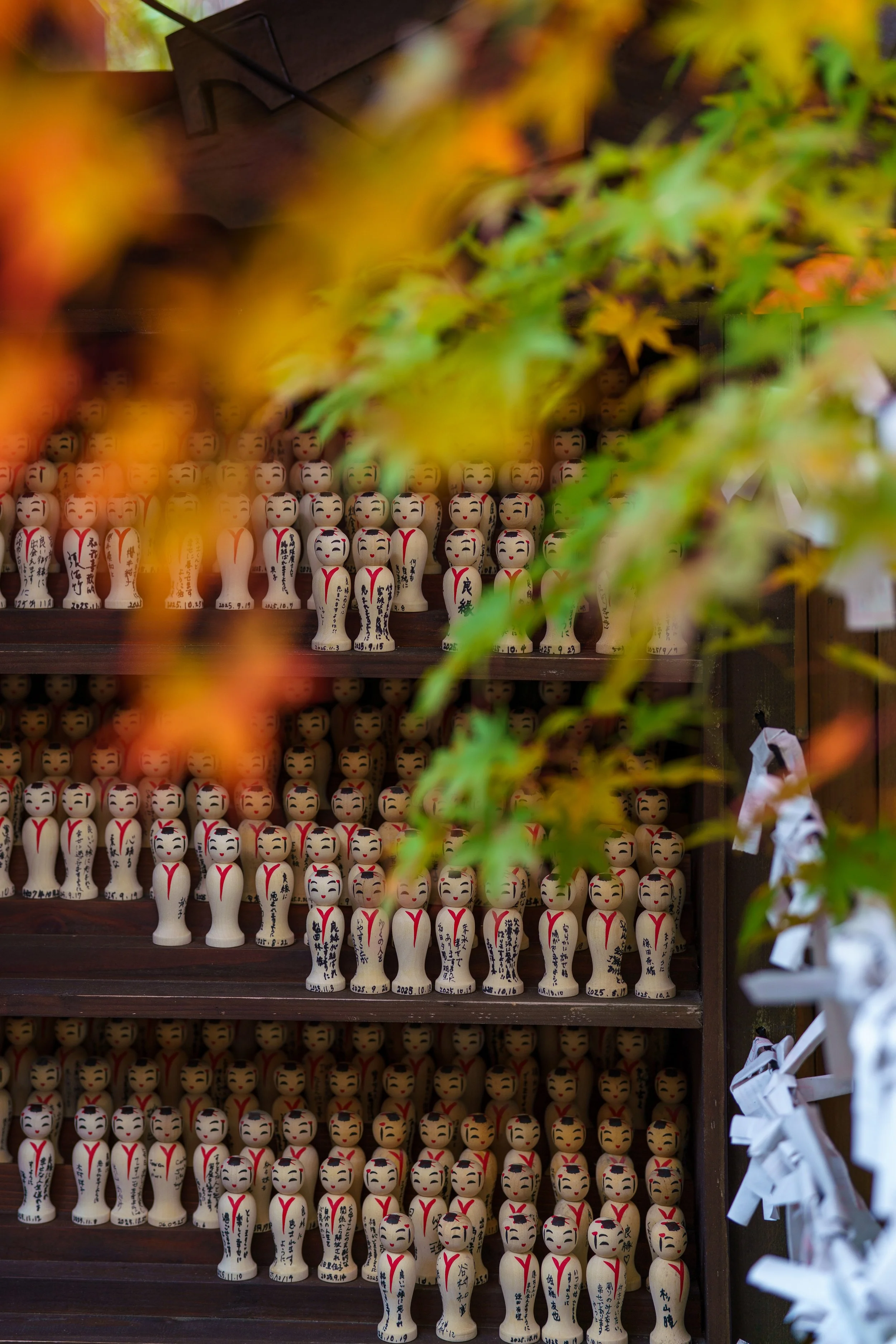 Shelves filled with Japanese Kokeshi dolls, with colorful autumn leaves partially obscuring the view.