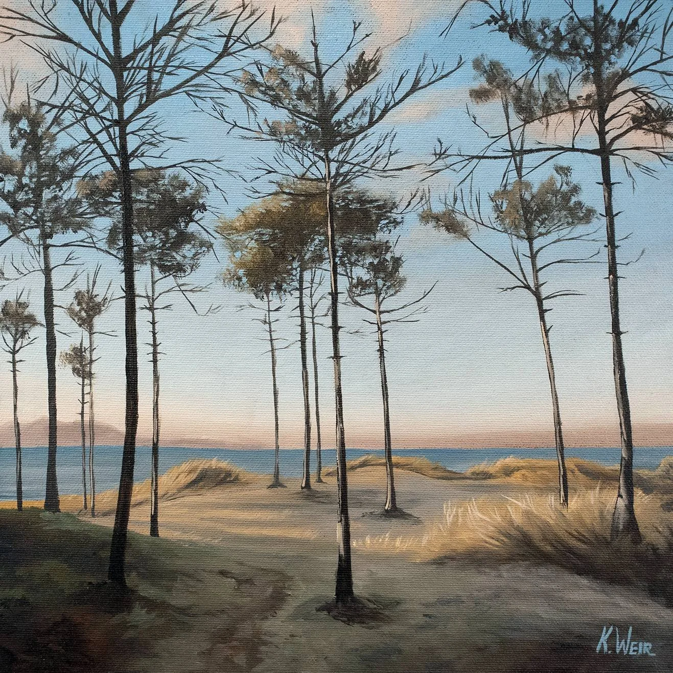 view from the dunes_web.jpg