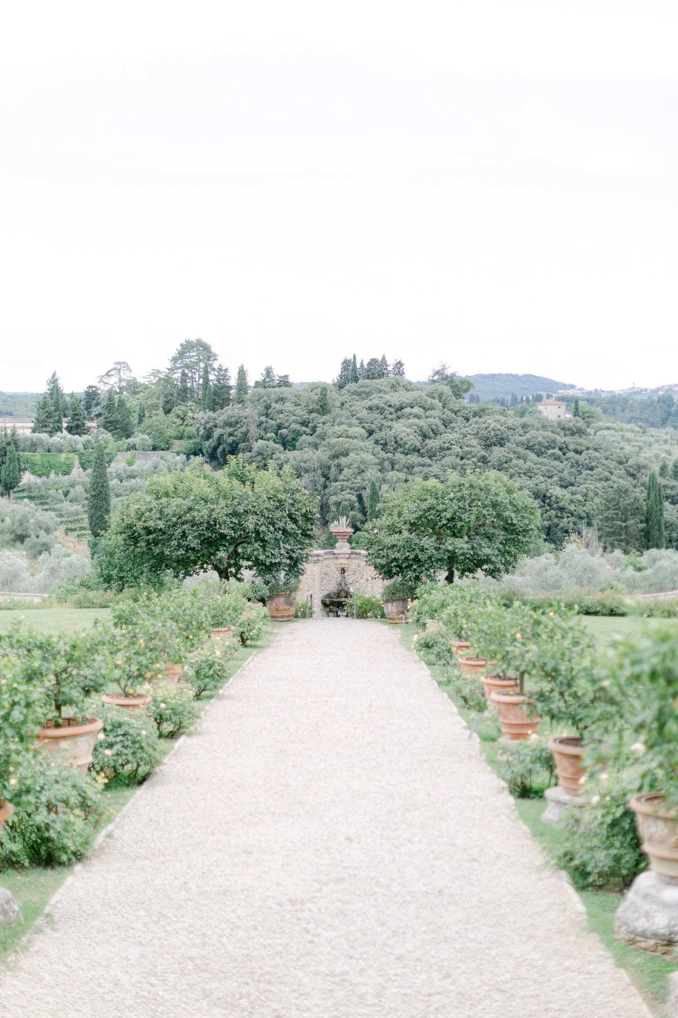 A gravel pathway lined with potted plants on either side, leading to a fountain with greenery and trees in the background.