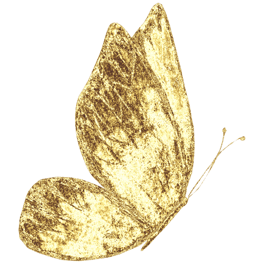 A butterfly with golden wings against a black background.