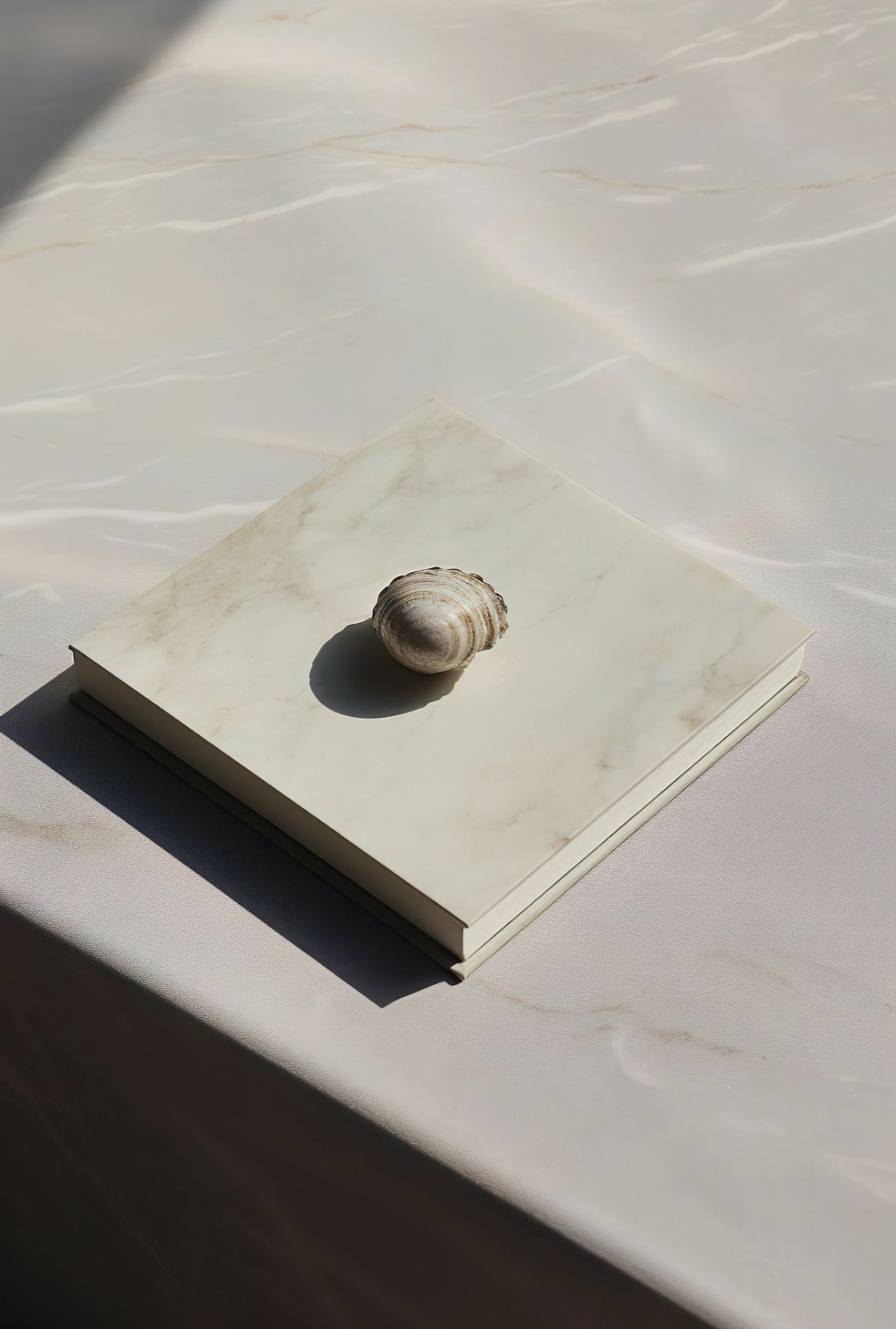 A closed marble-patterned book with a seashell on top, placed on a white fabric surface with sunlight and shadows.