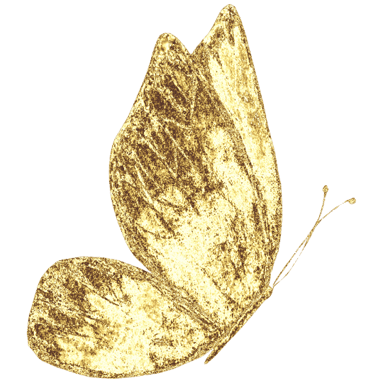 A gold-colored butterfly illustration on a black background.